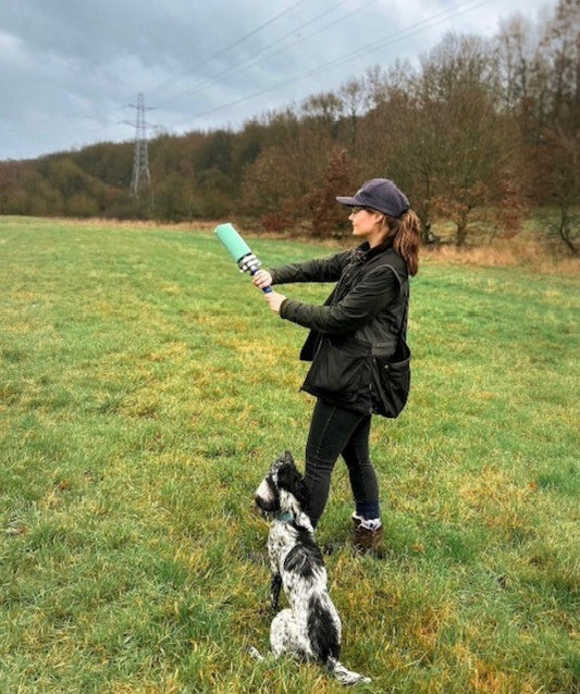 Paws Puppy Blog Part 4 - by @thespanielgirlgang