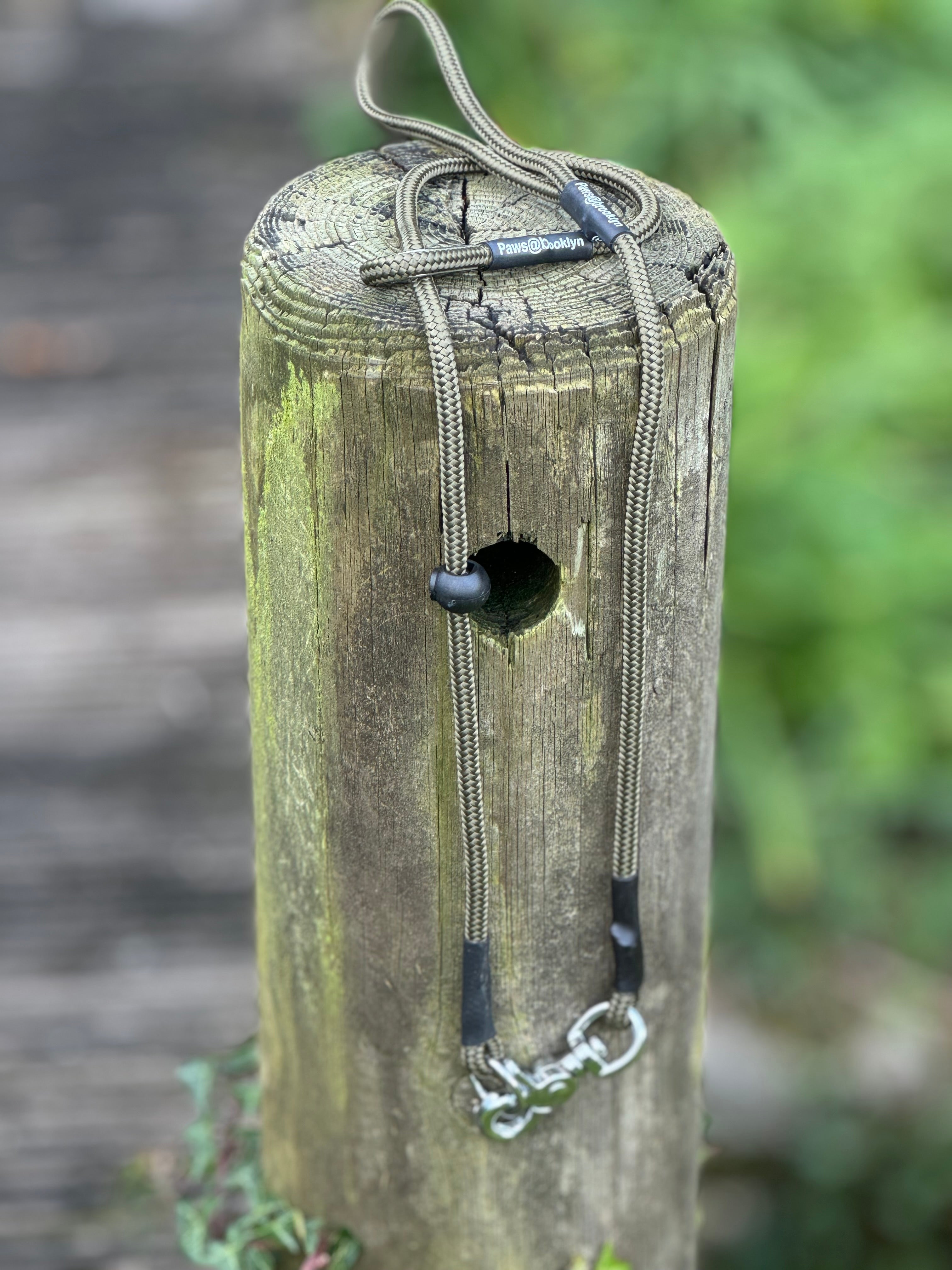 Paws@brooklyn heeling lead with slip collar