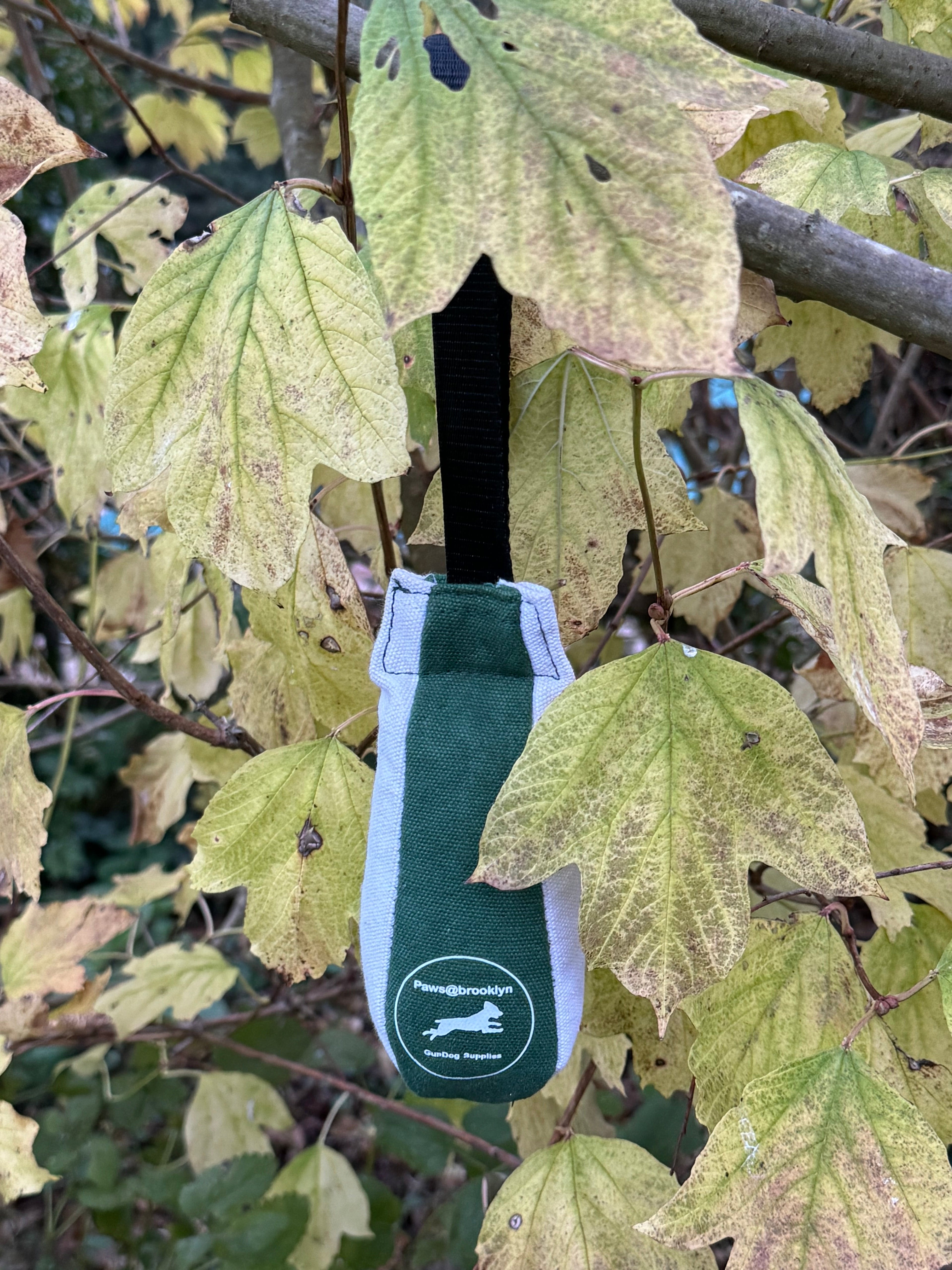 Paws@brooklyn Speedy Dummy Balls