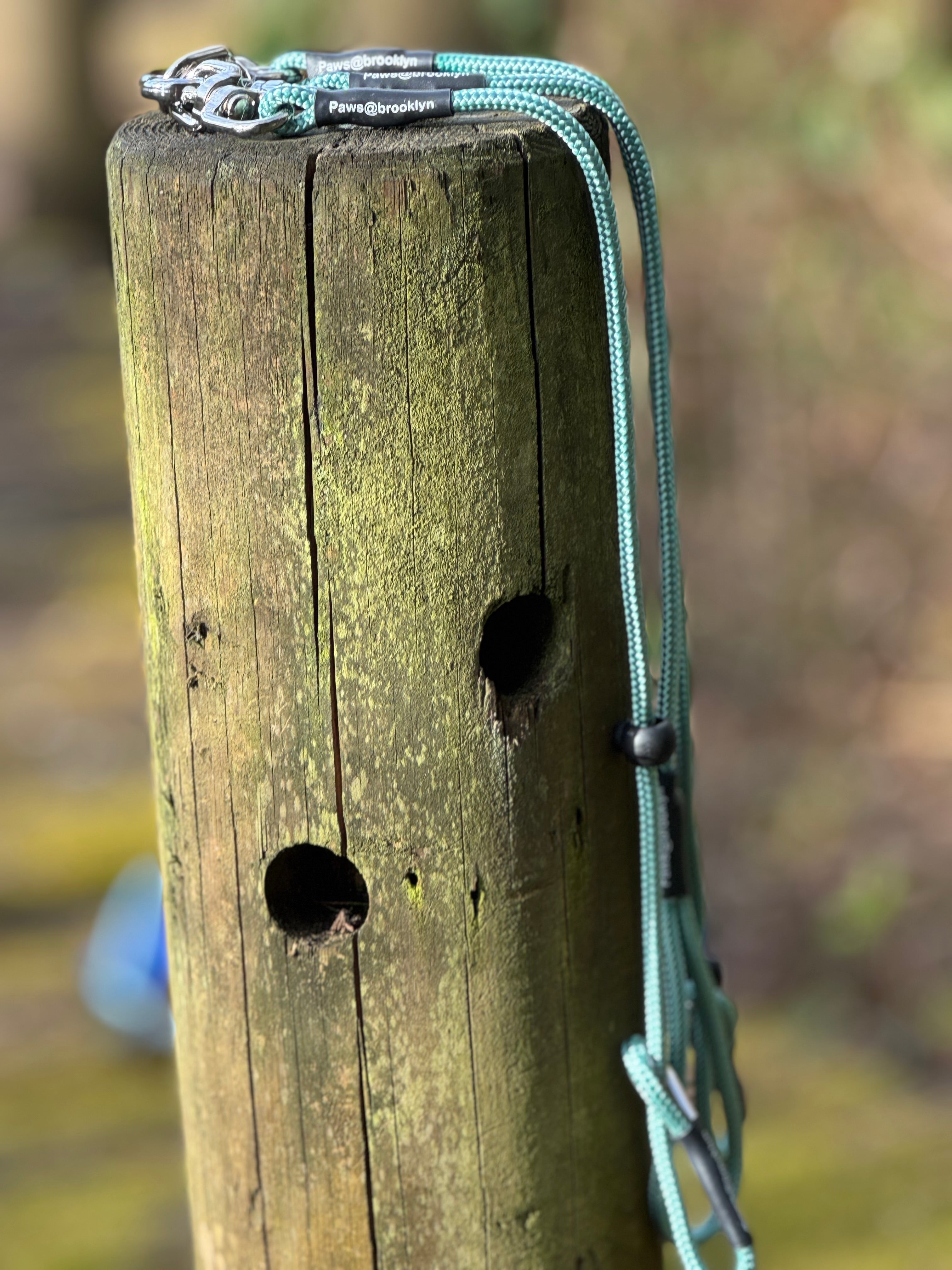 Paws@brooklyn Darklass Double Swivel Lead