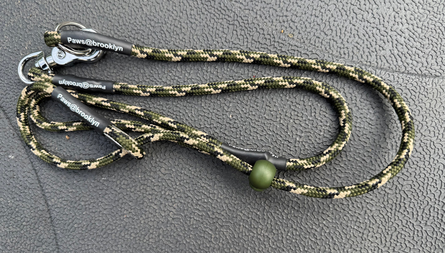 Paws@brooklyn heeling lead with slip collar