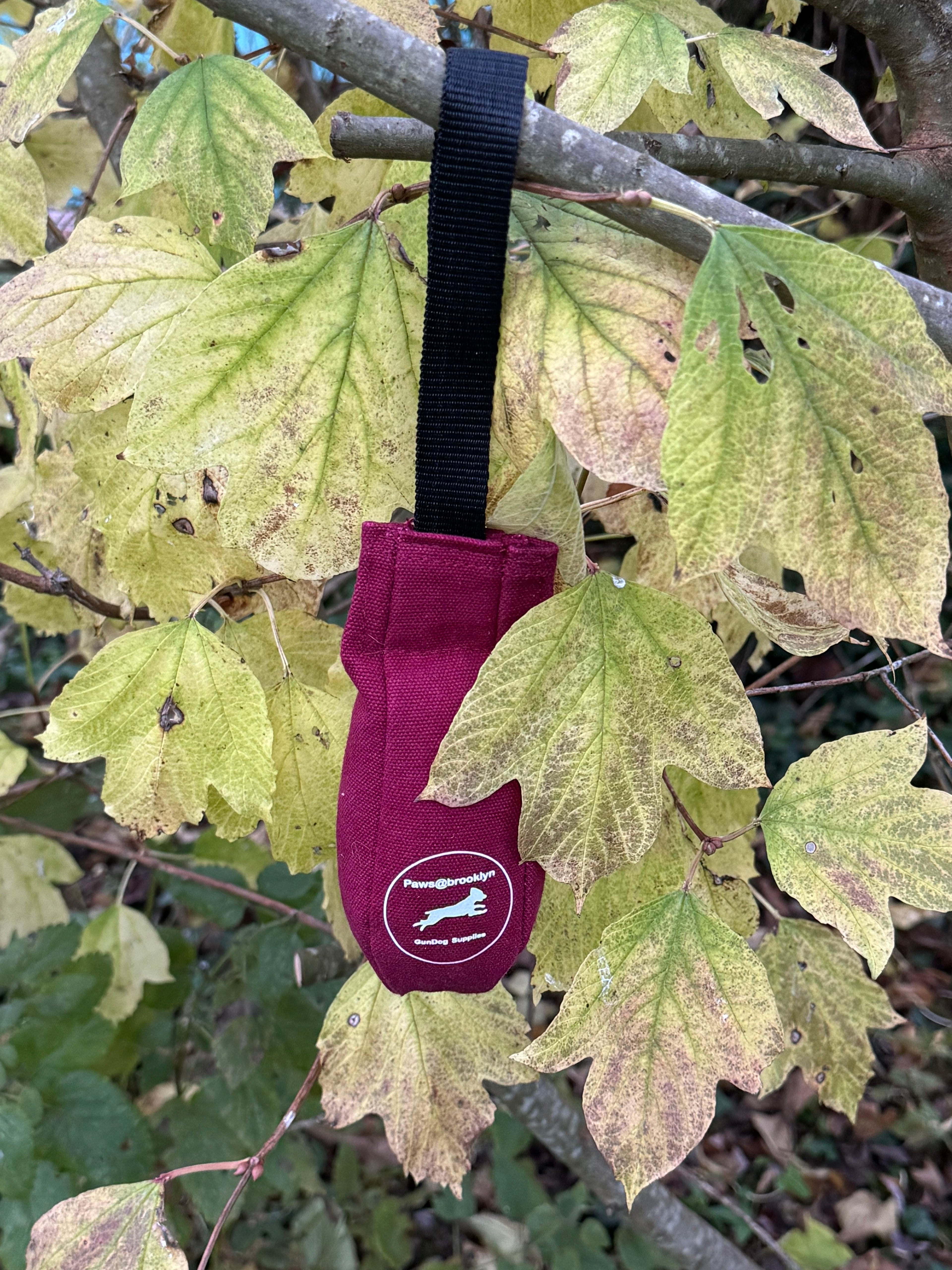 Paws@brooklyn Speedy Dummy Balls