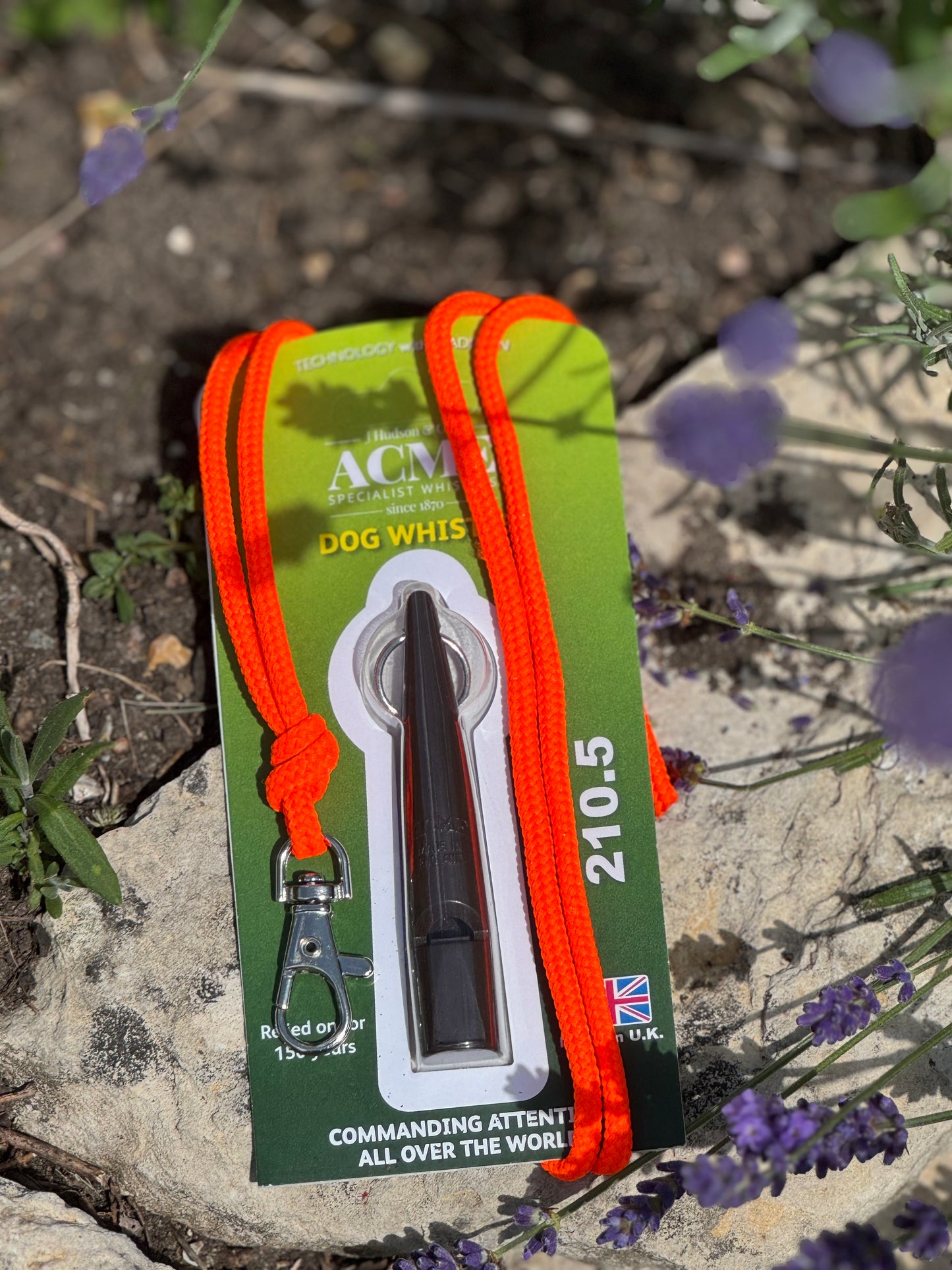 Paws@brooklyn Acme Whistle and Lanyard Set