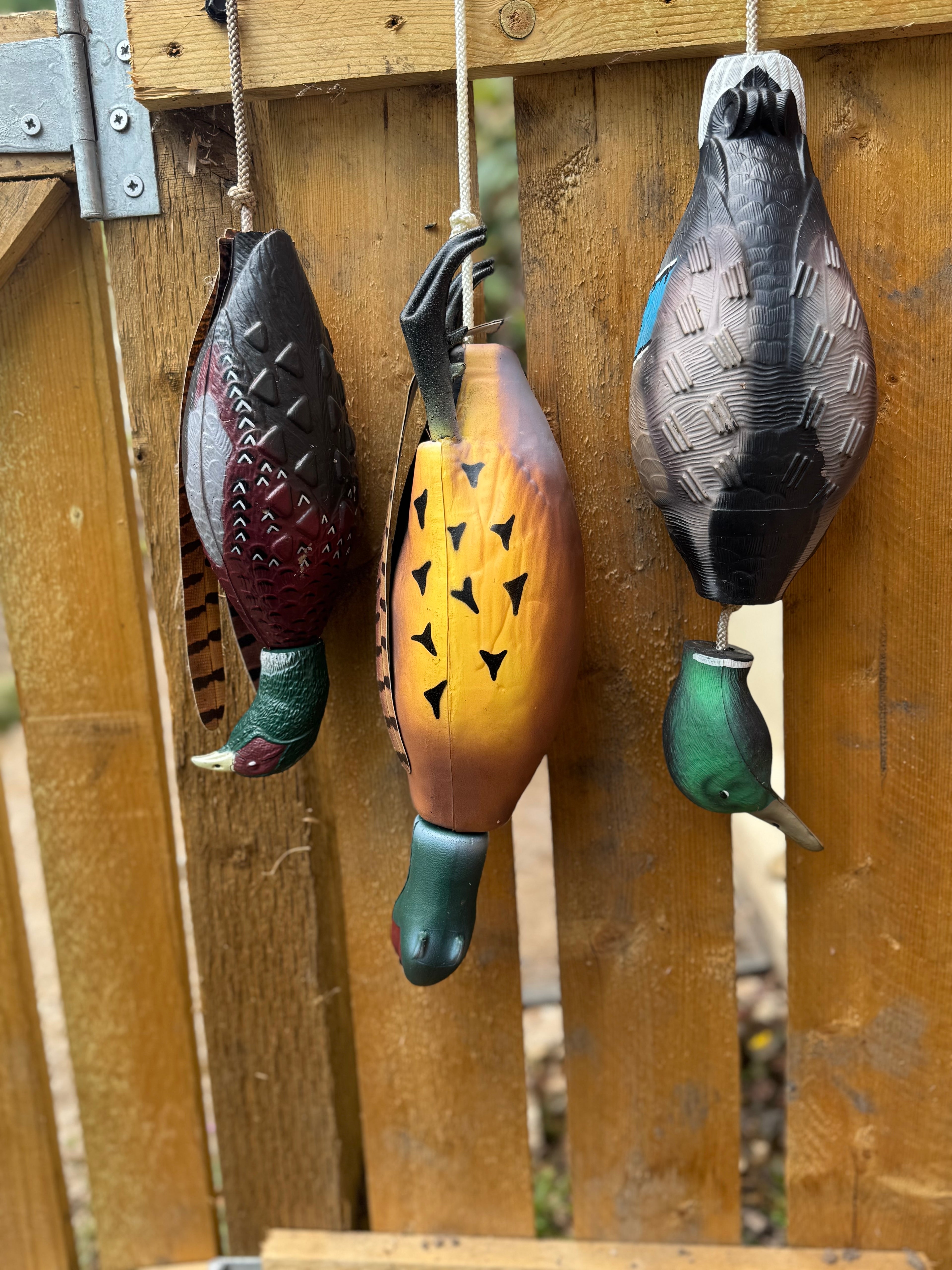 Paws@brooklyn Water/Land Bird Dummies