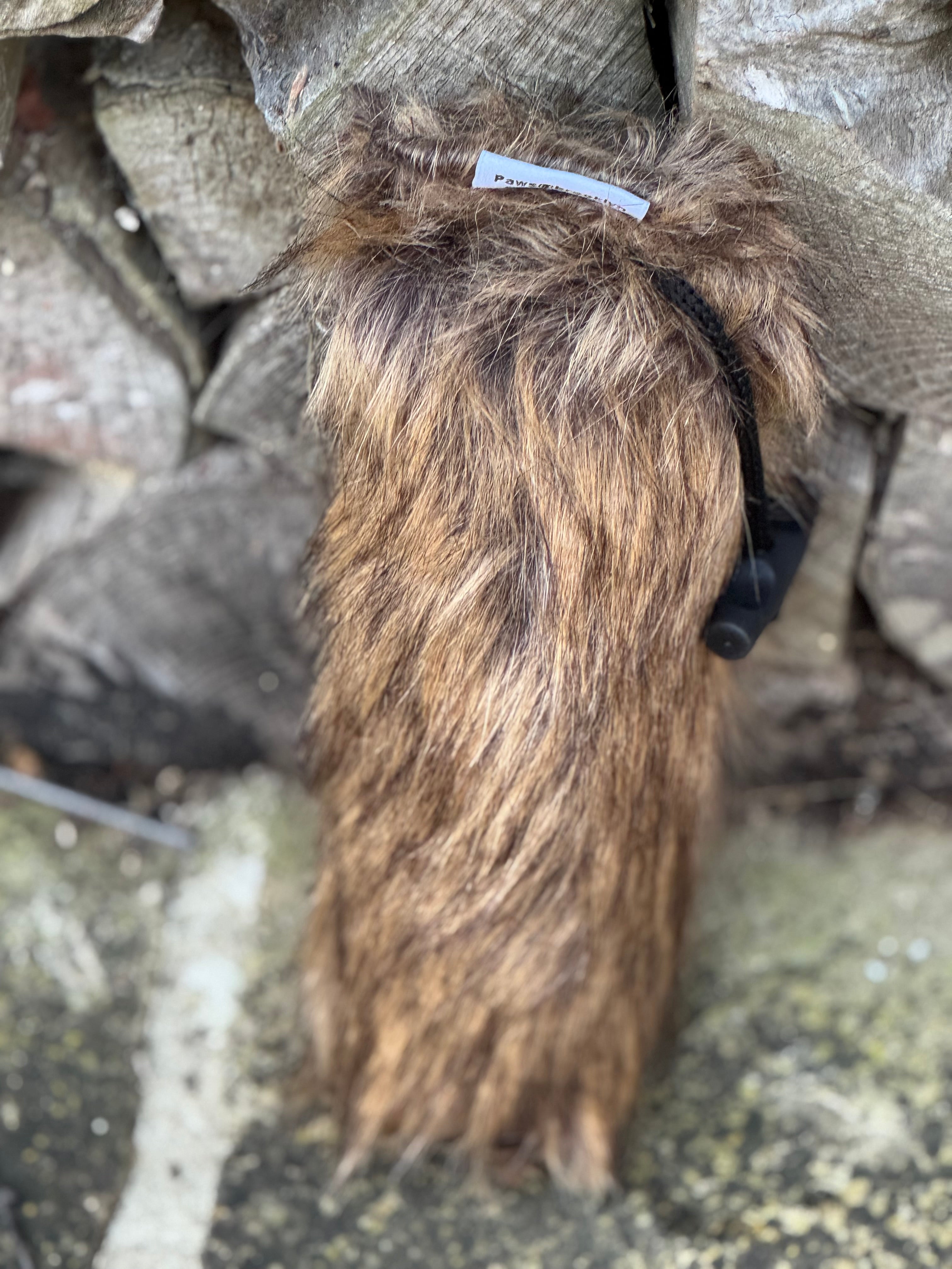 Paws@brooklyn Fur Dummies