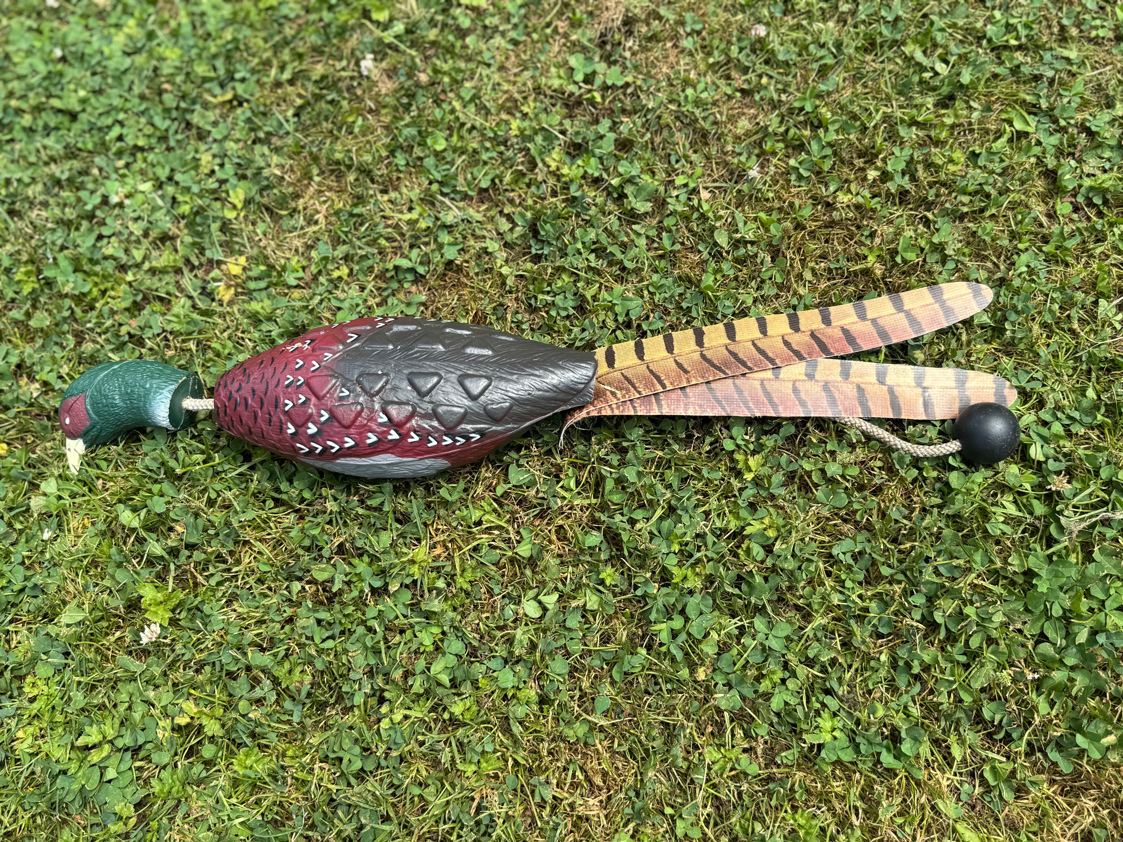 Paws@brooklyn Water/Land Bird Dummies