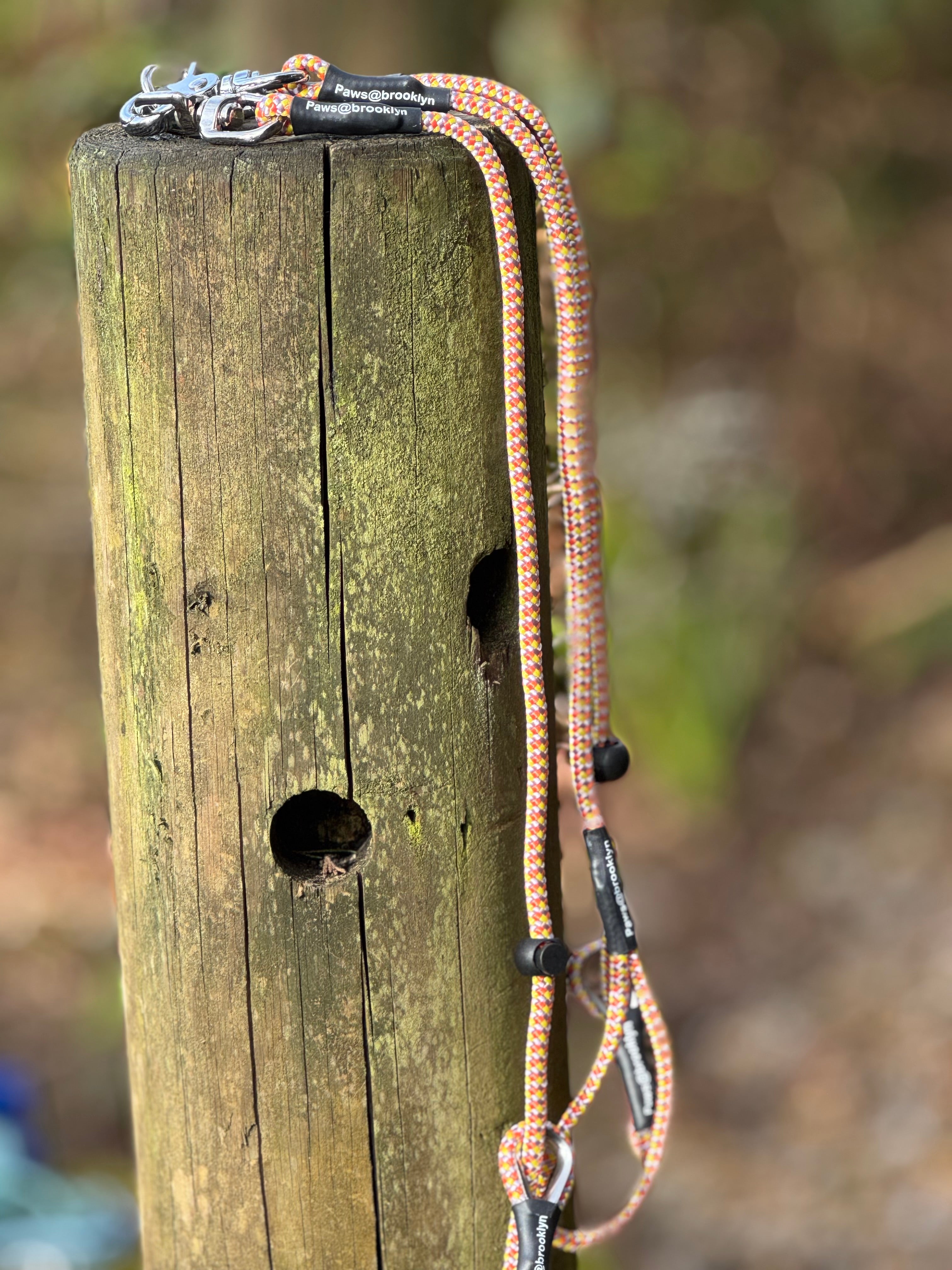 Paws@brooklyn Darklass Double Swivel Lead