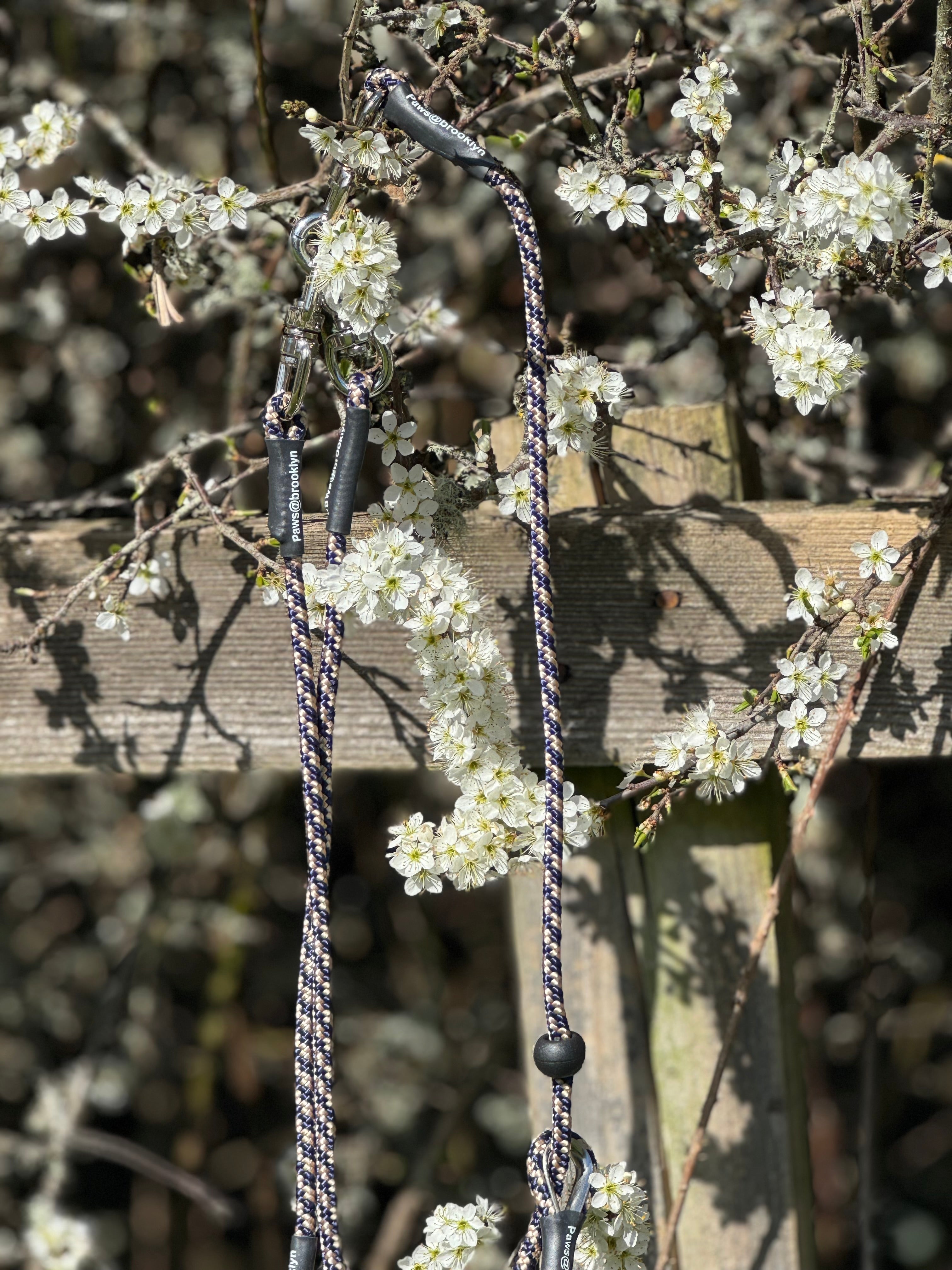 Paws@brooklyn Darklass Double Swivel Lead