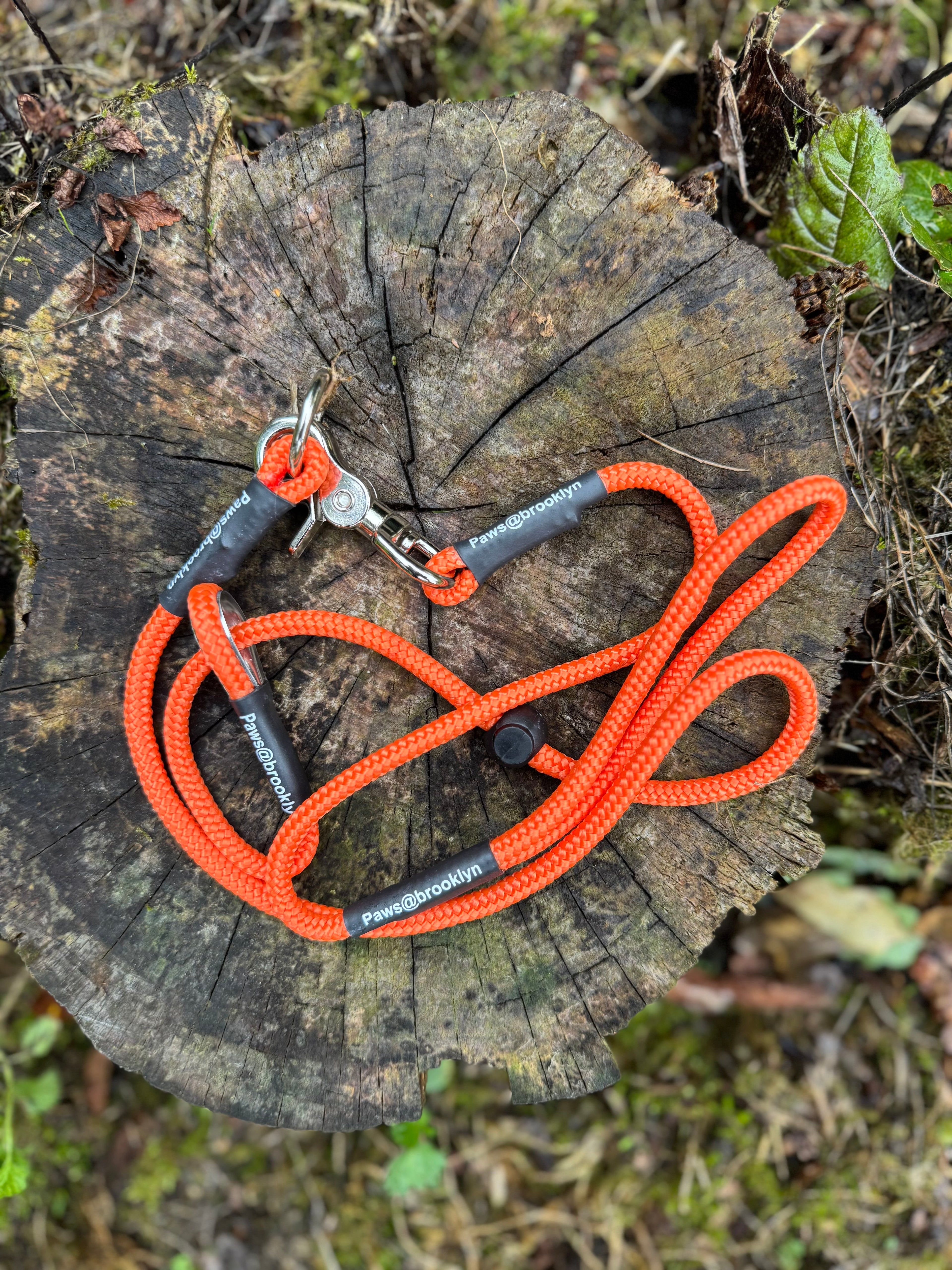 Paws@brooklyn heeling lead with slip collar