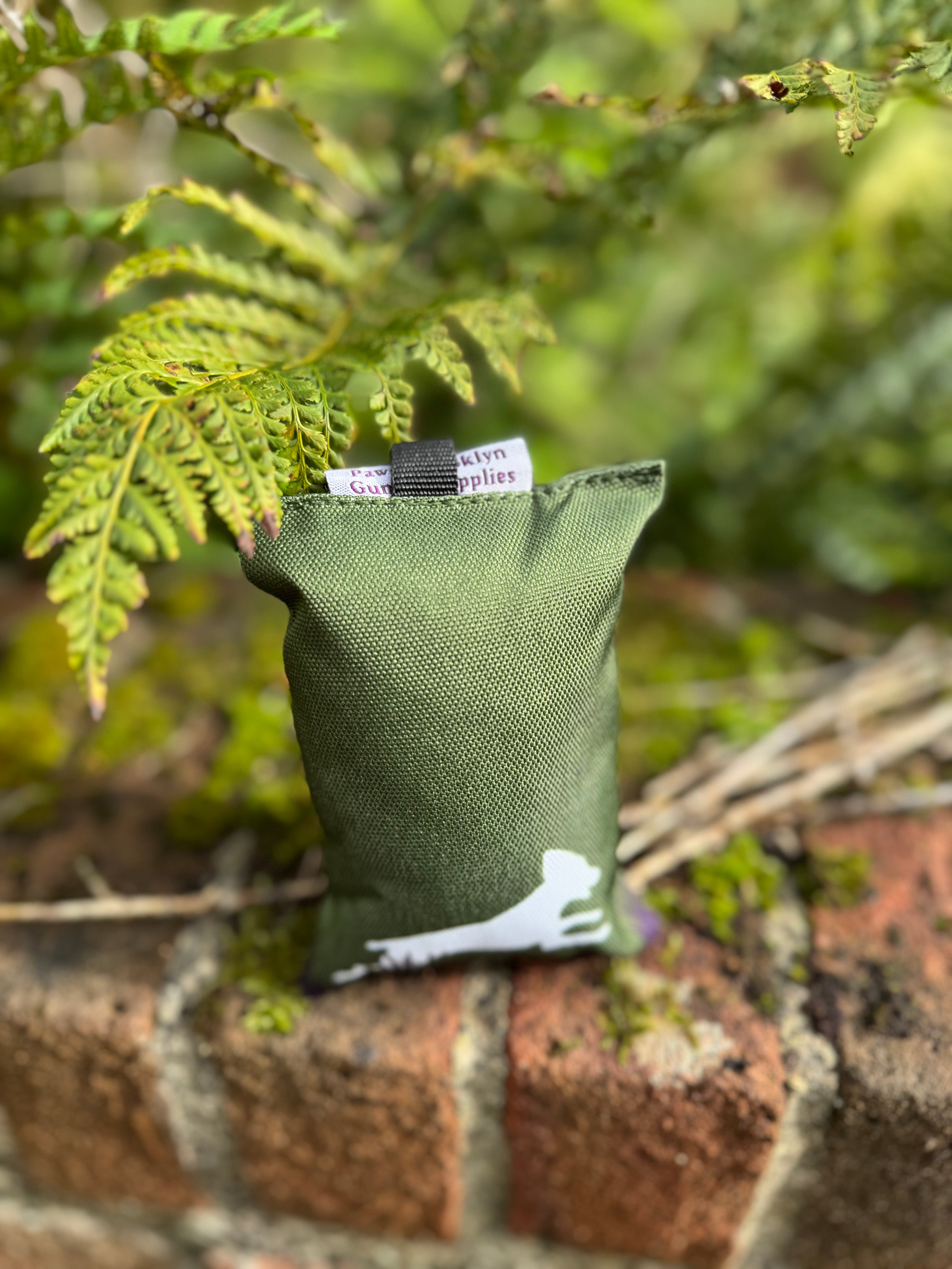 Paws@brooklyn Paws Spaniel Dummies