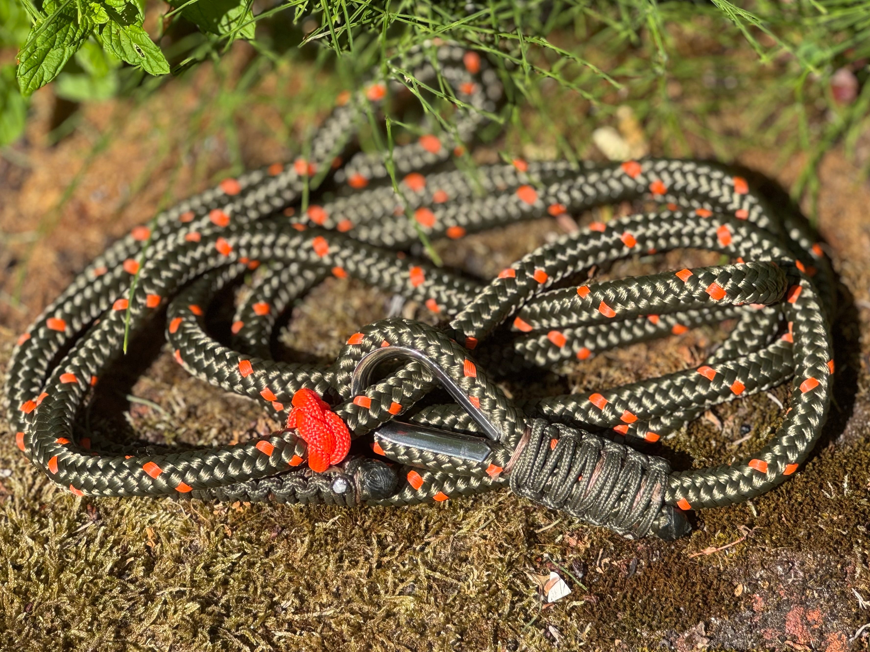 Paws@brooklyn 150cm Slip Leads