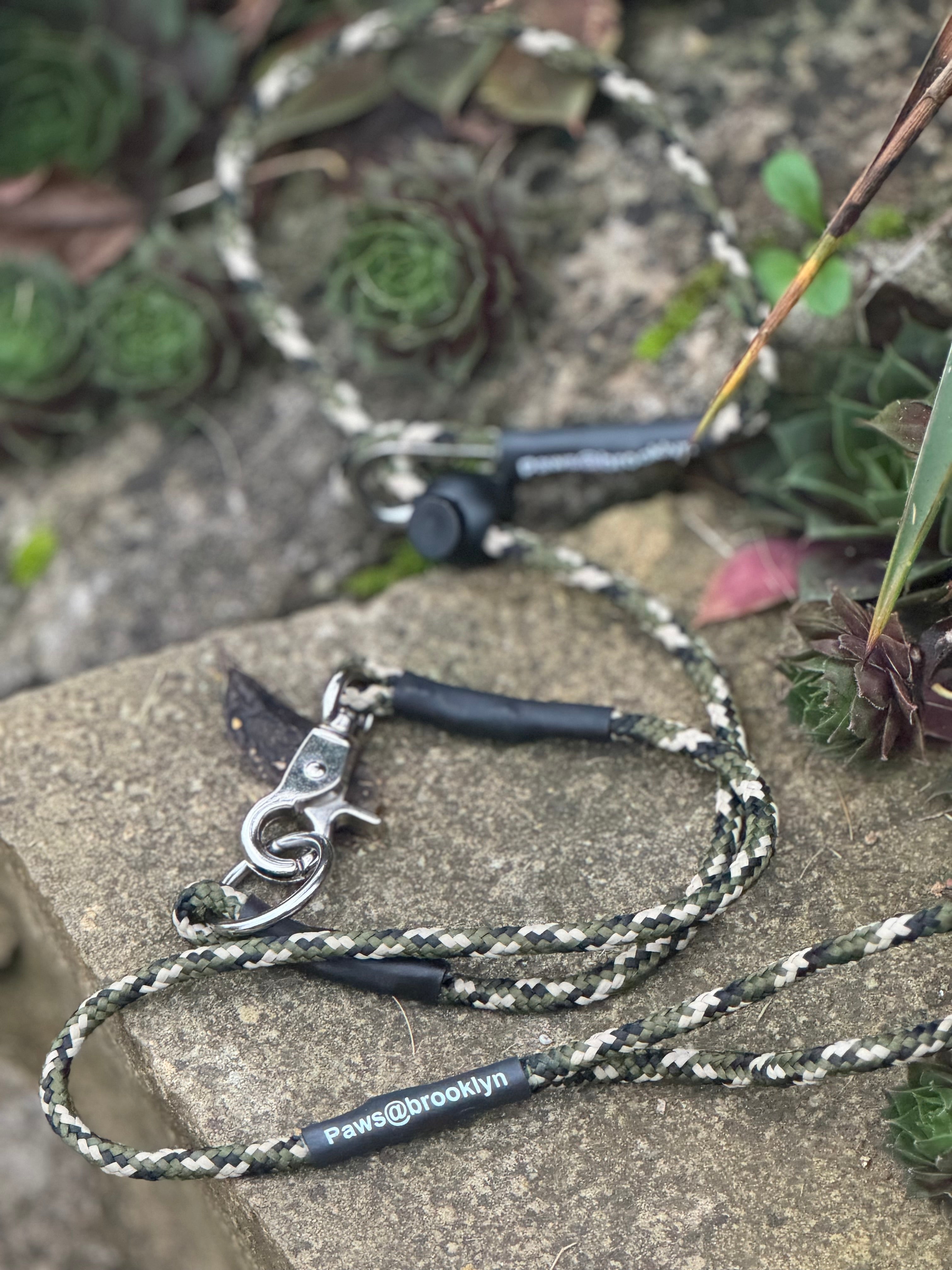 Paws@brooklyn heeling lead with slip collar