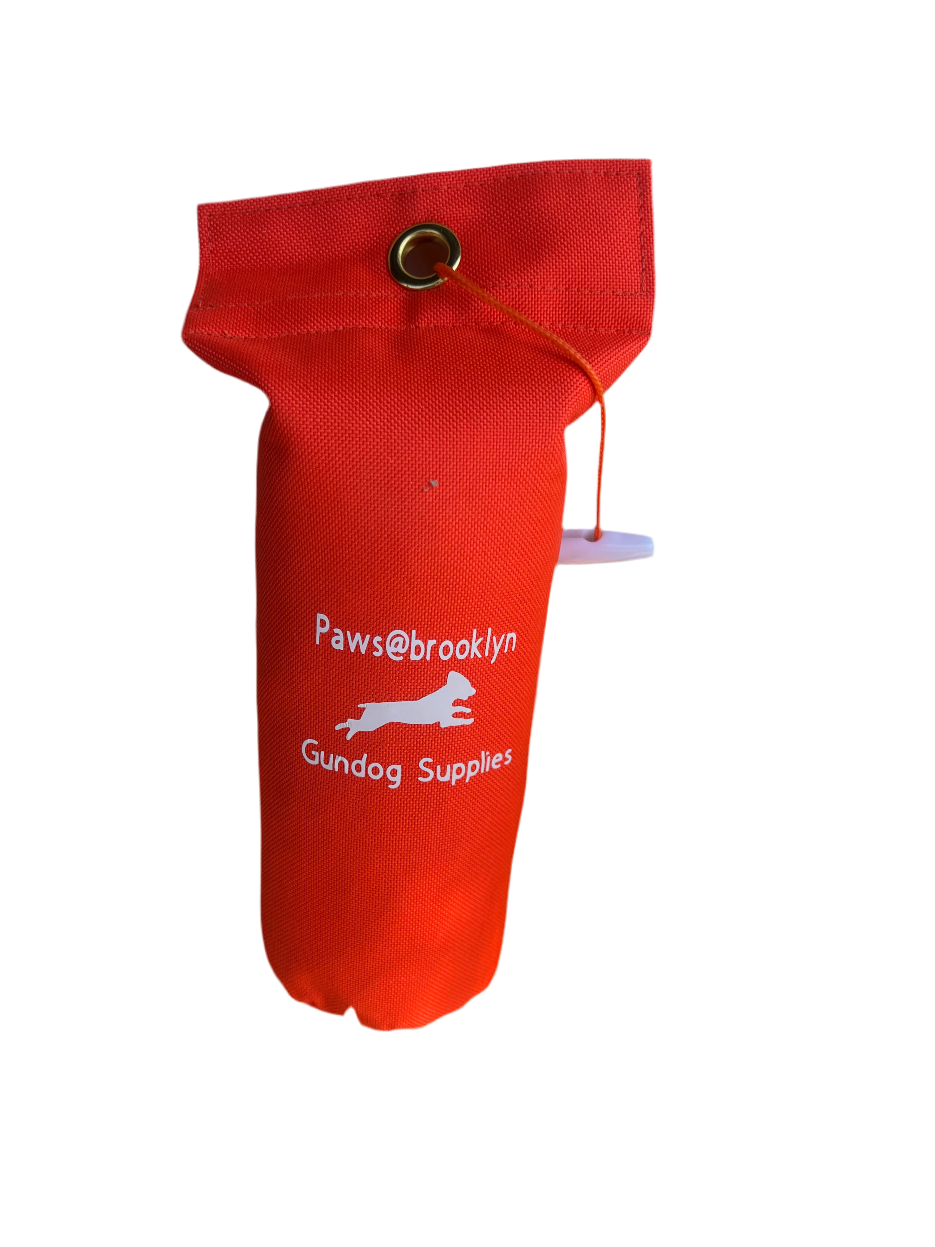 Paws@brooklyn Rainbow and Canvas Dummies