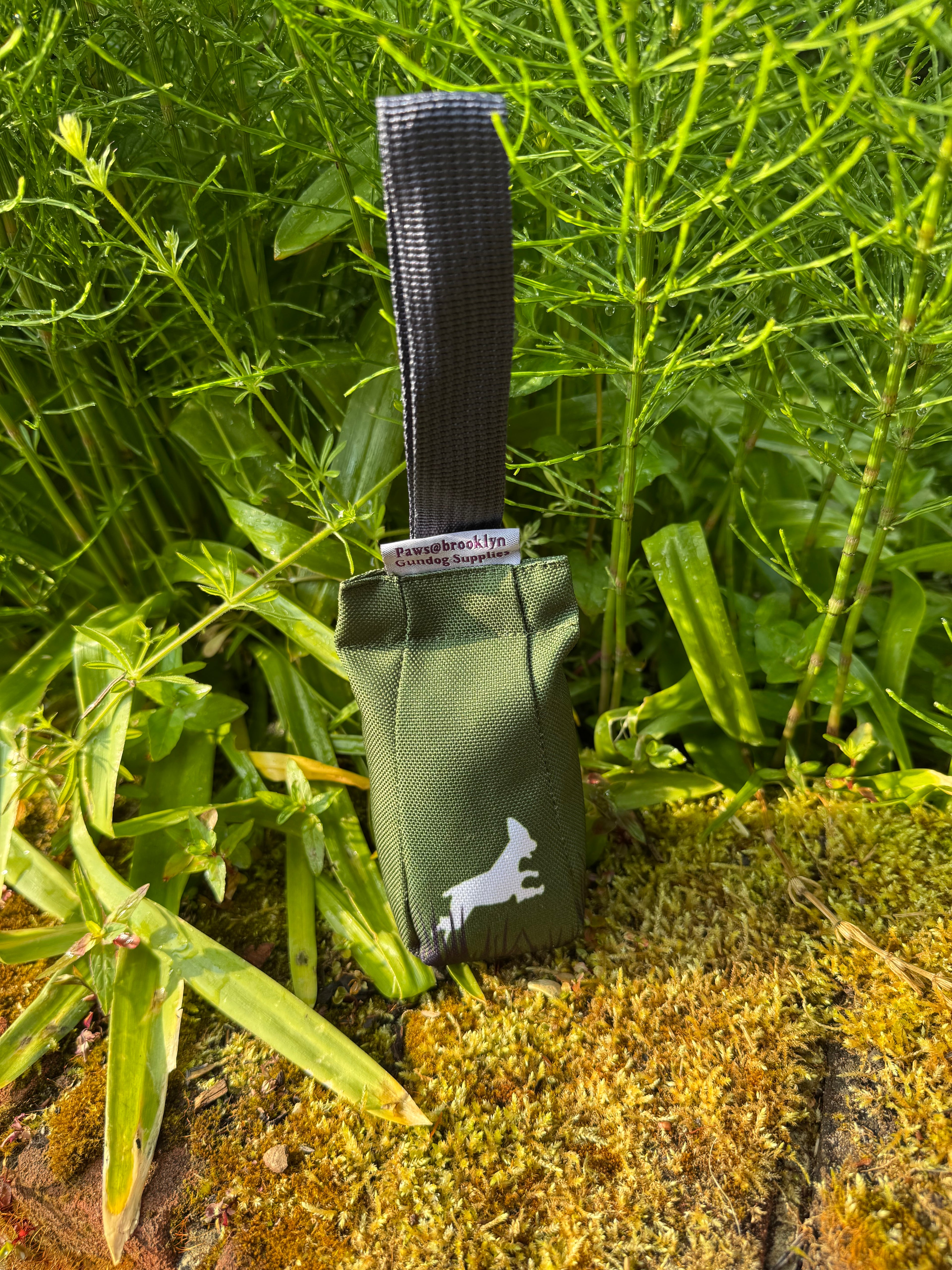 Paws@brooklyn Paws Spaniel Dummies