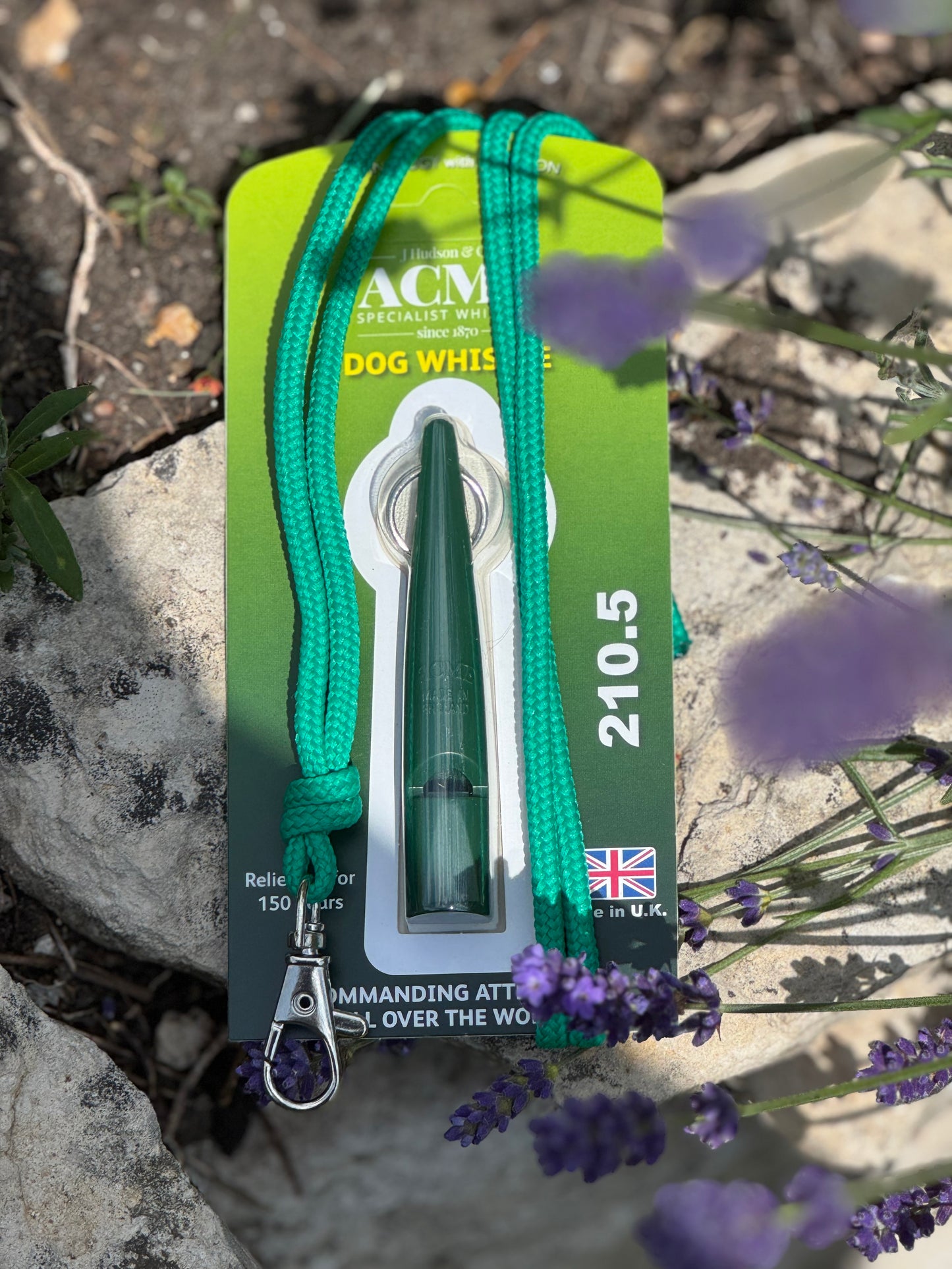 Paws@brooklyn Acme Whistle and Lanyard Set