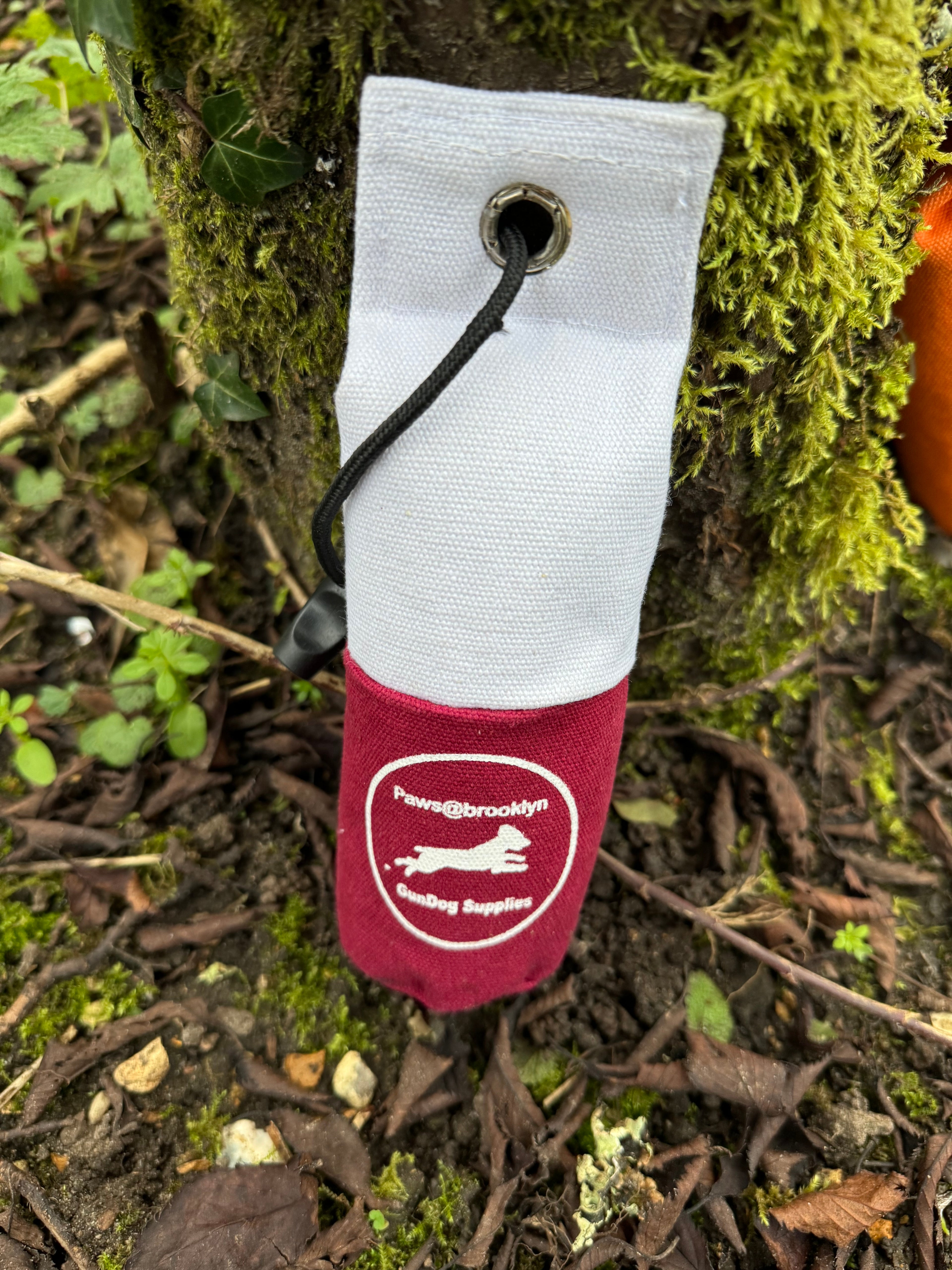 Paws@brooklyn Canvas Dummies