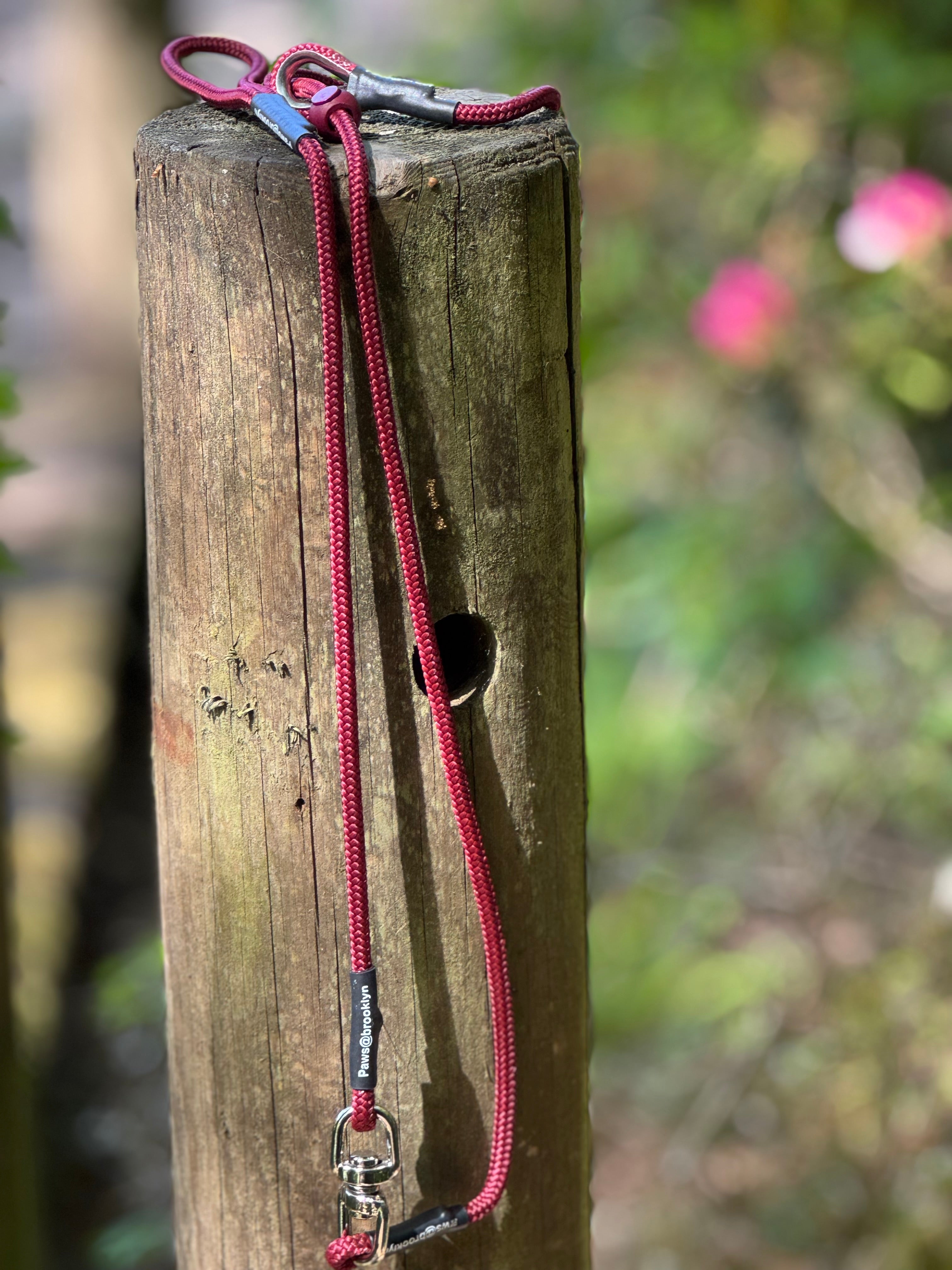 Paws@brooklyn 6mm Swivel Lead