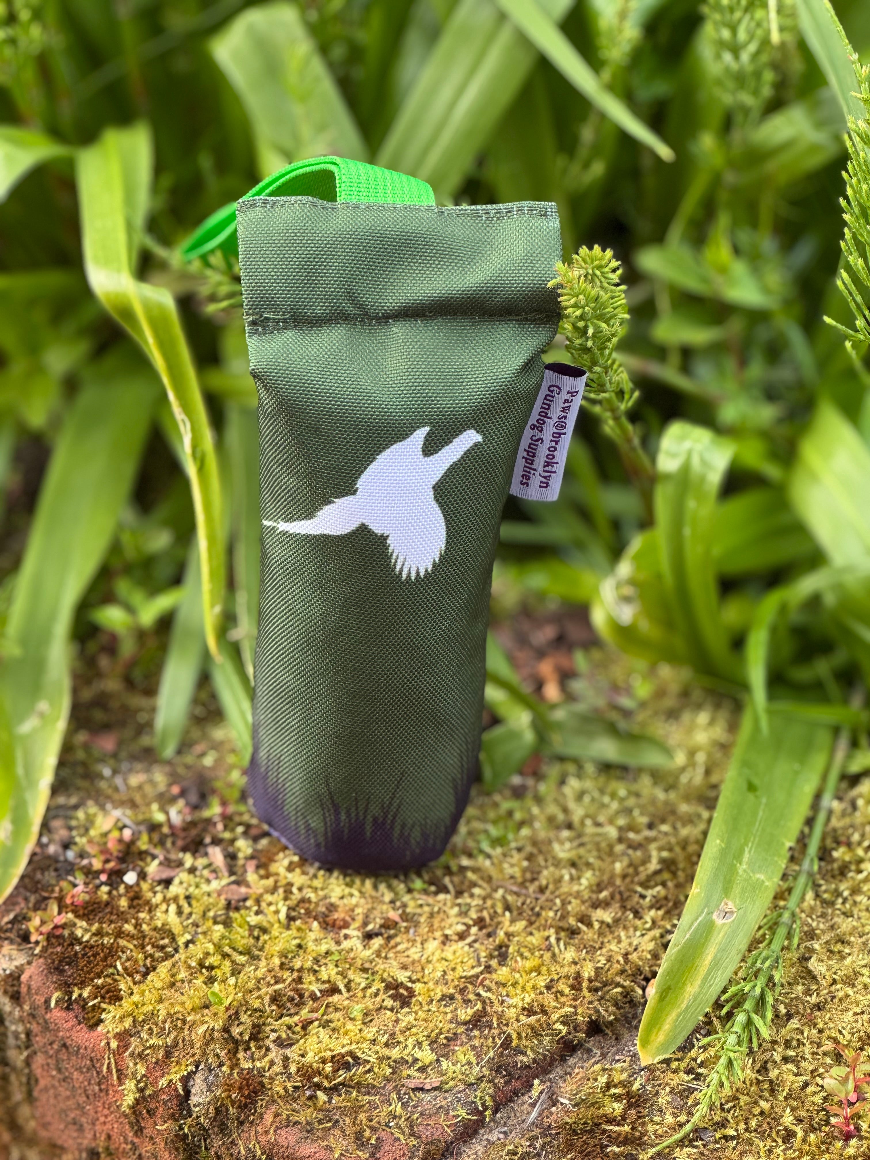 Paws@brooklyn Paws Spaniel Dummies