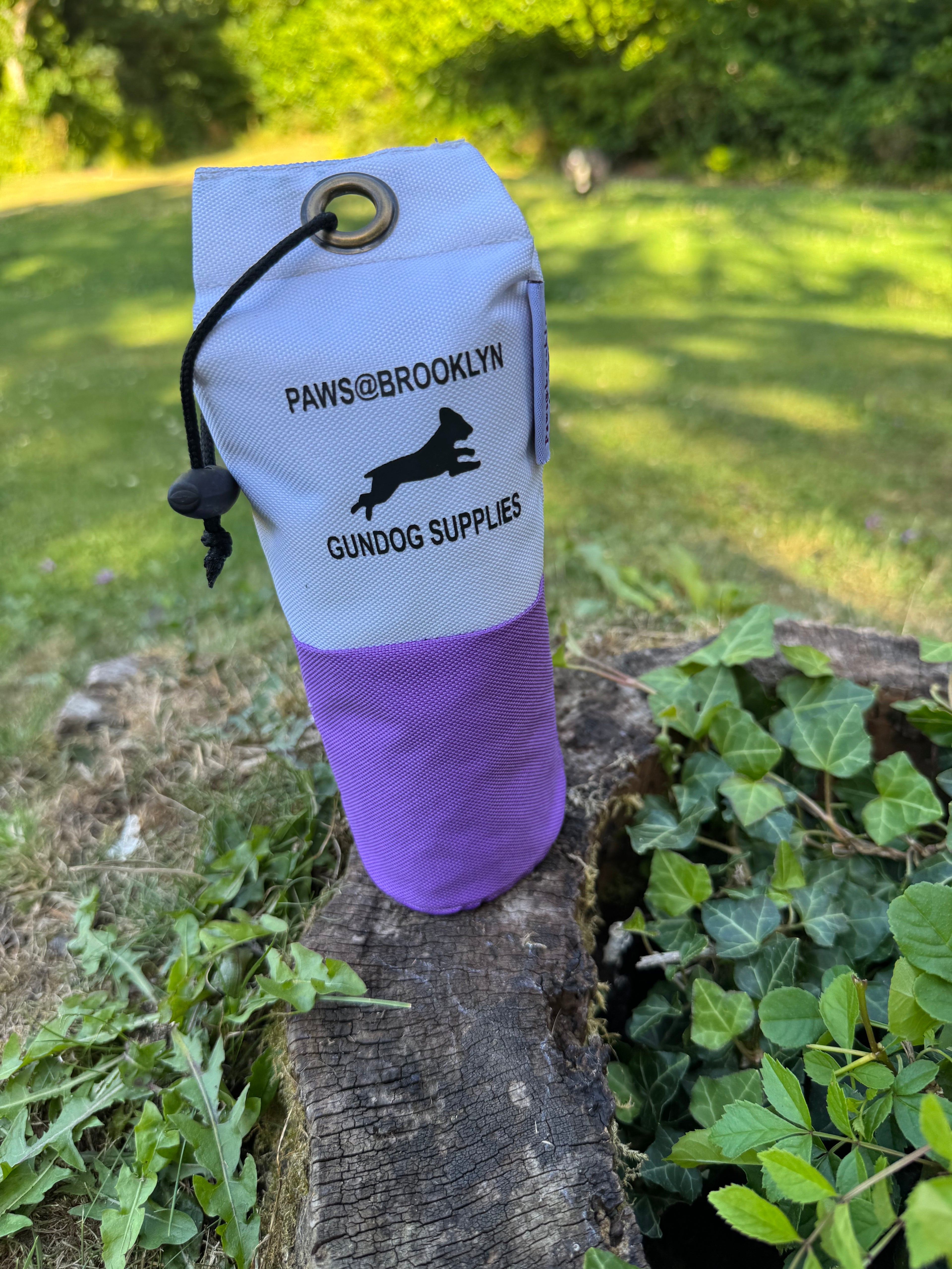 Paws@brooklyn Rainbow and Canvas Dummies