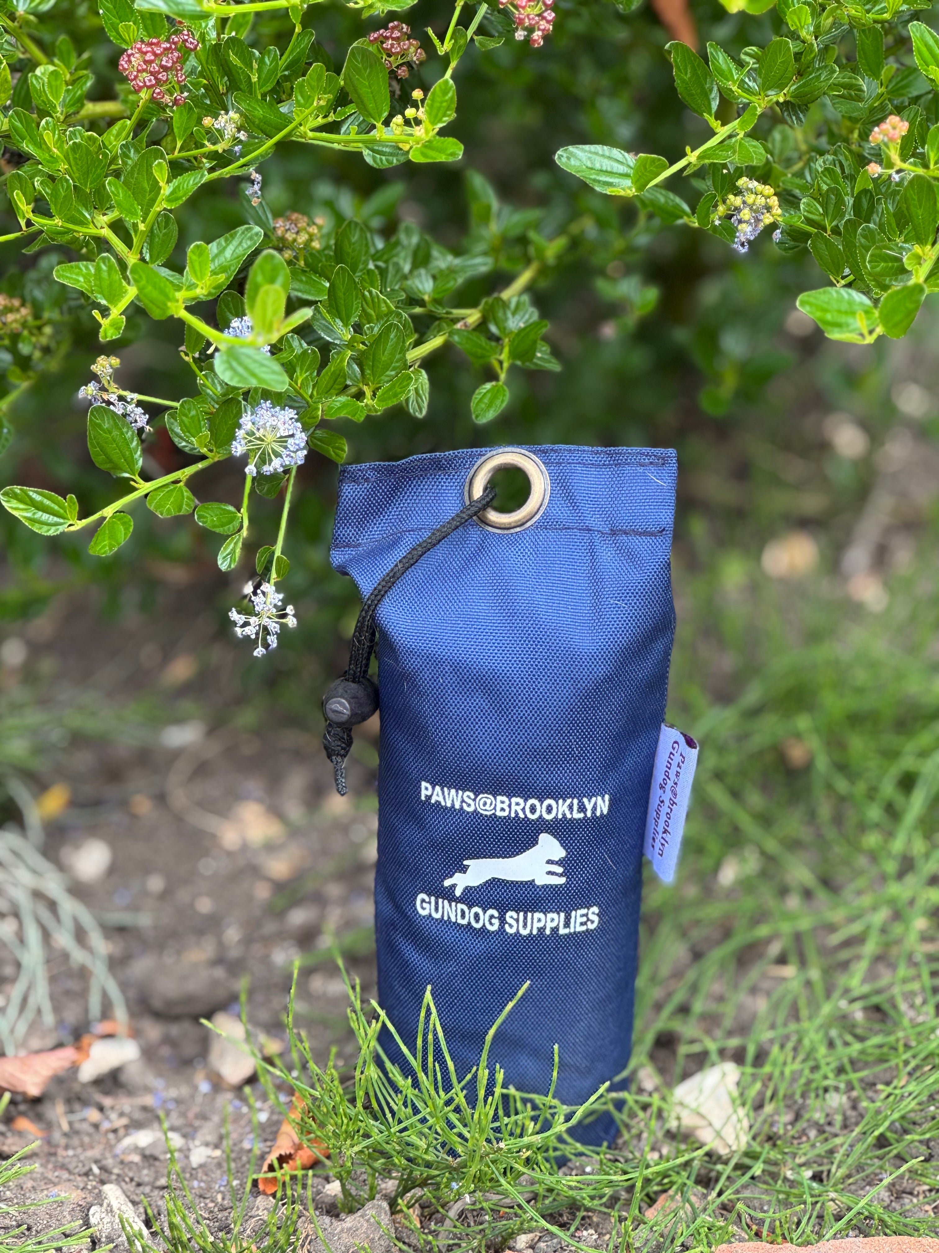 Paws@brooklyn Rainbow and Canvas Dummies