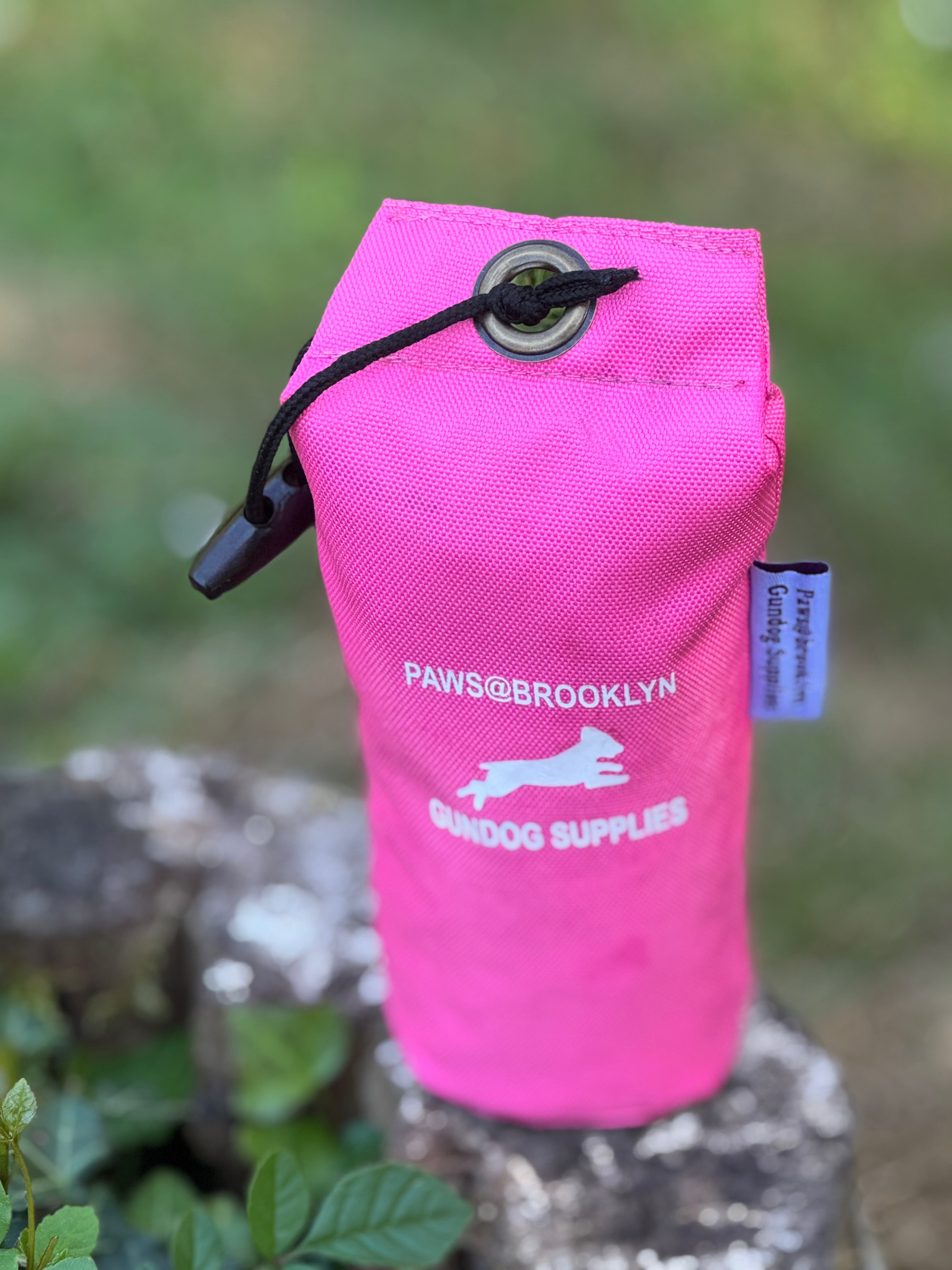 Paws@brooklyn Rainbow and Canvas Dummies