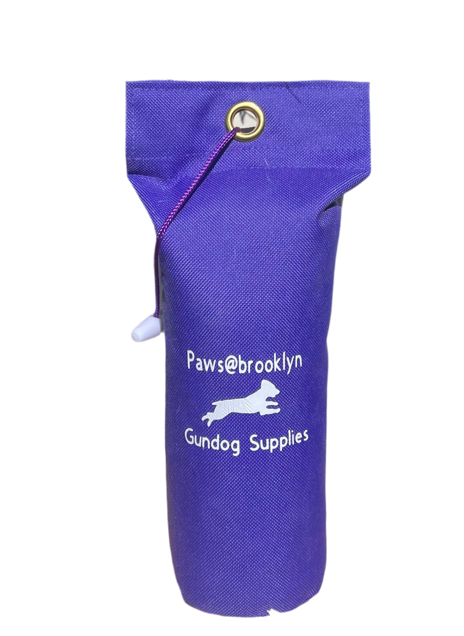 Paws@brooklyn Rainbow and Canvas Dummies