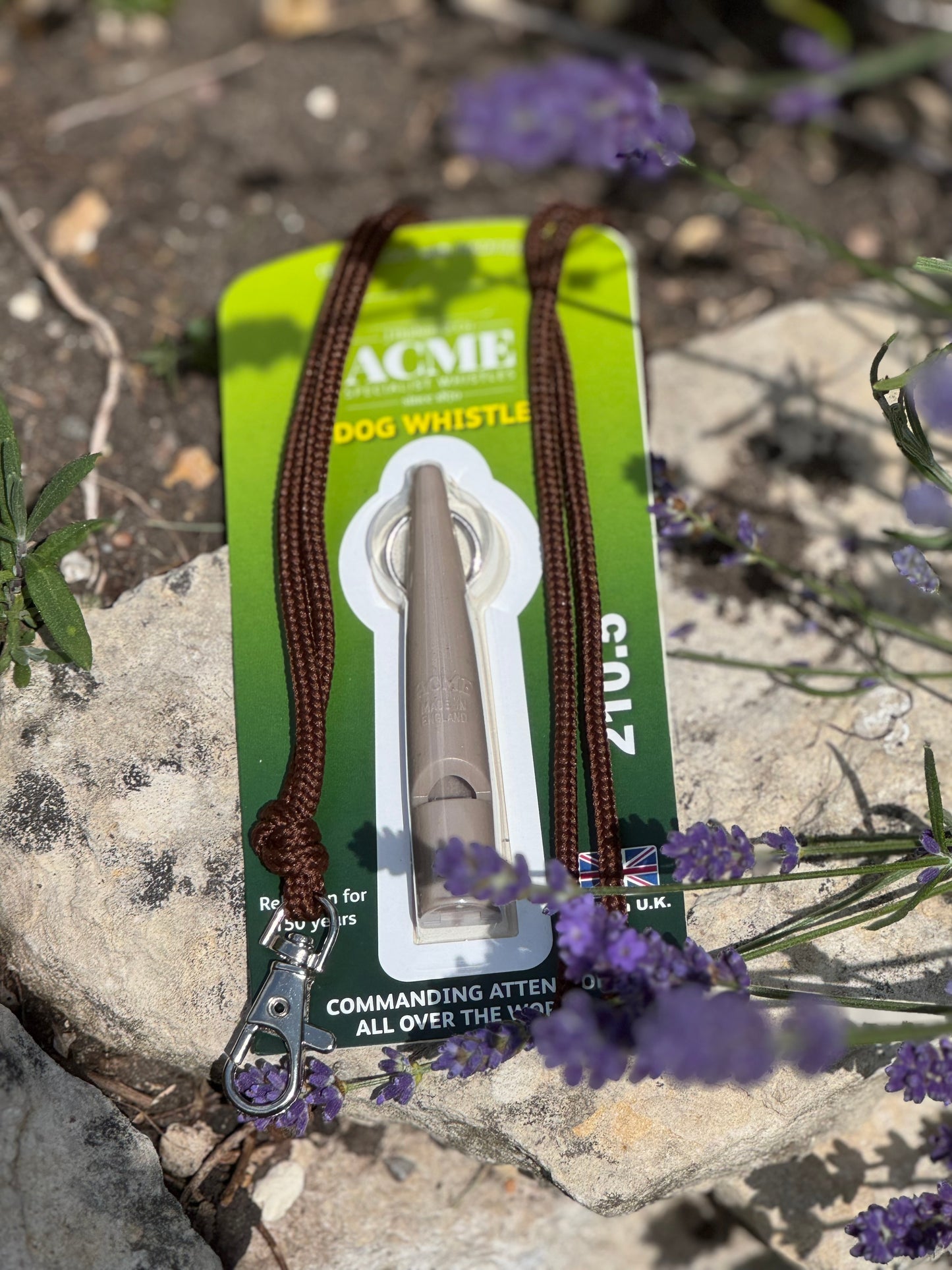 Paws@brooklyn Acme Whistle and Lanyard Set