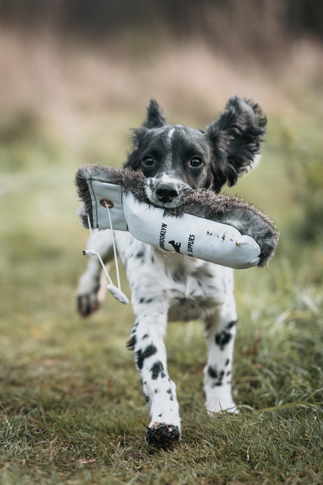 Paw@brooklyn 1/2 Fur/Canvas Dummies