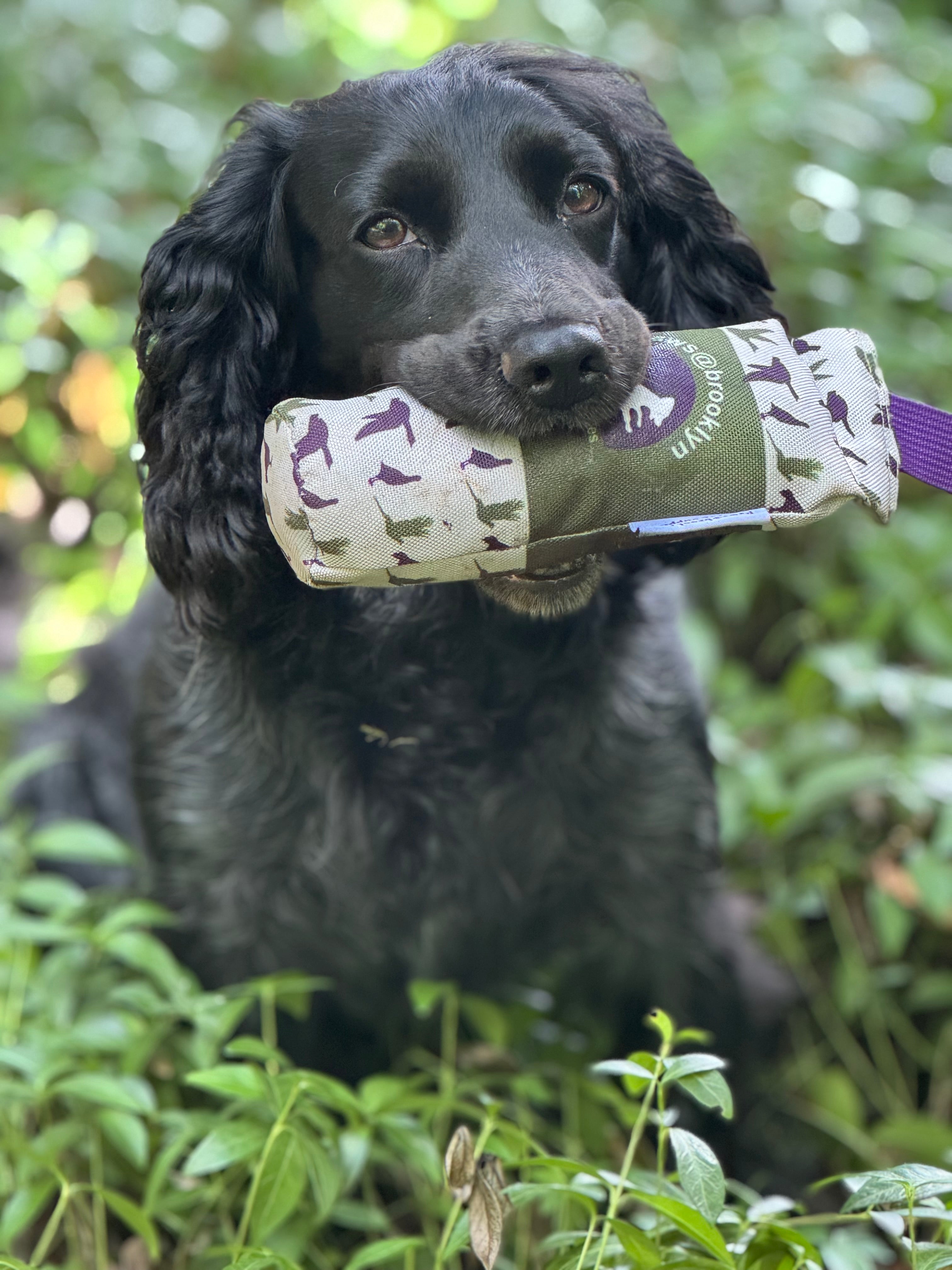 Paws@brooklyn The Game Range!!