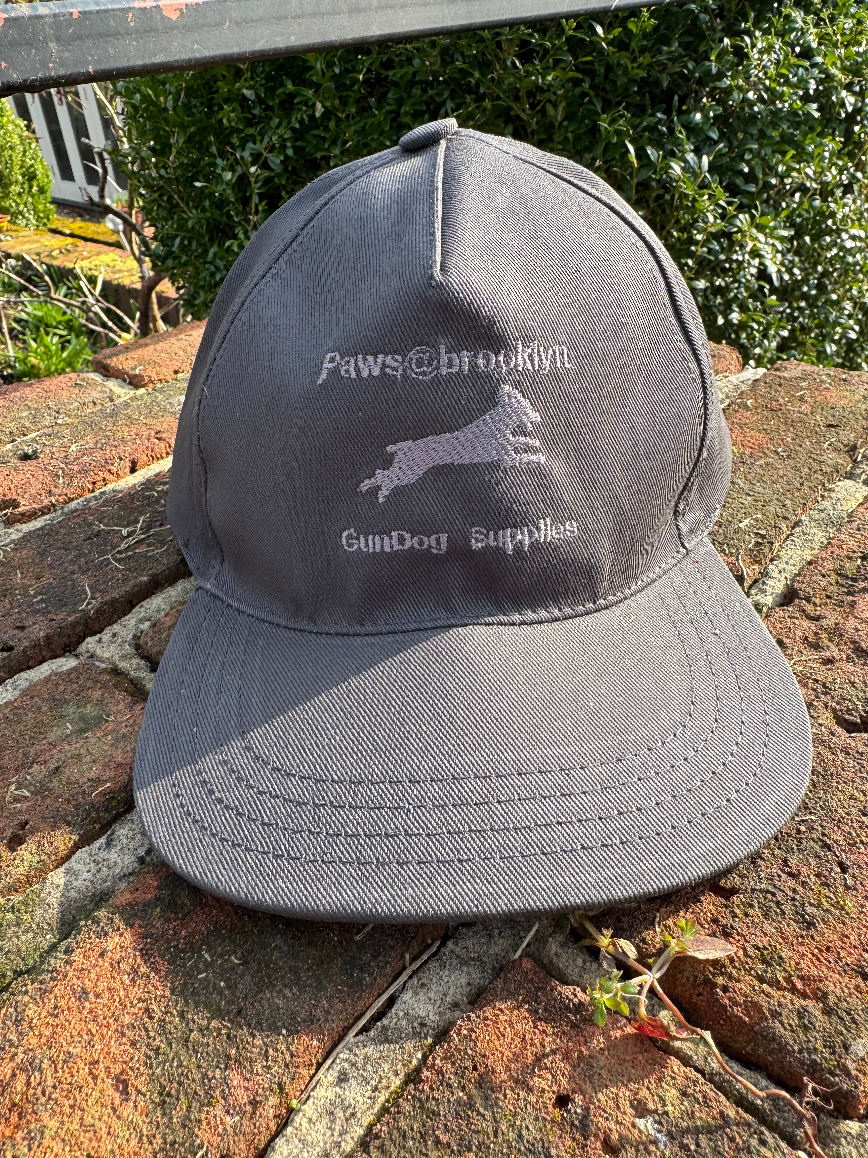 Paws@brooklyn Caps