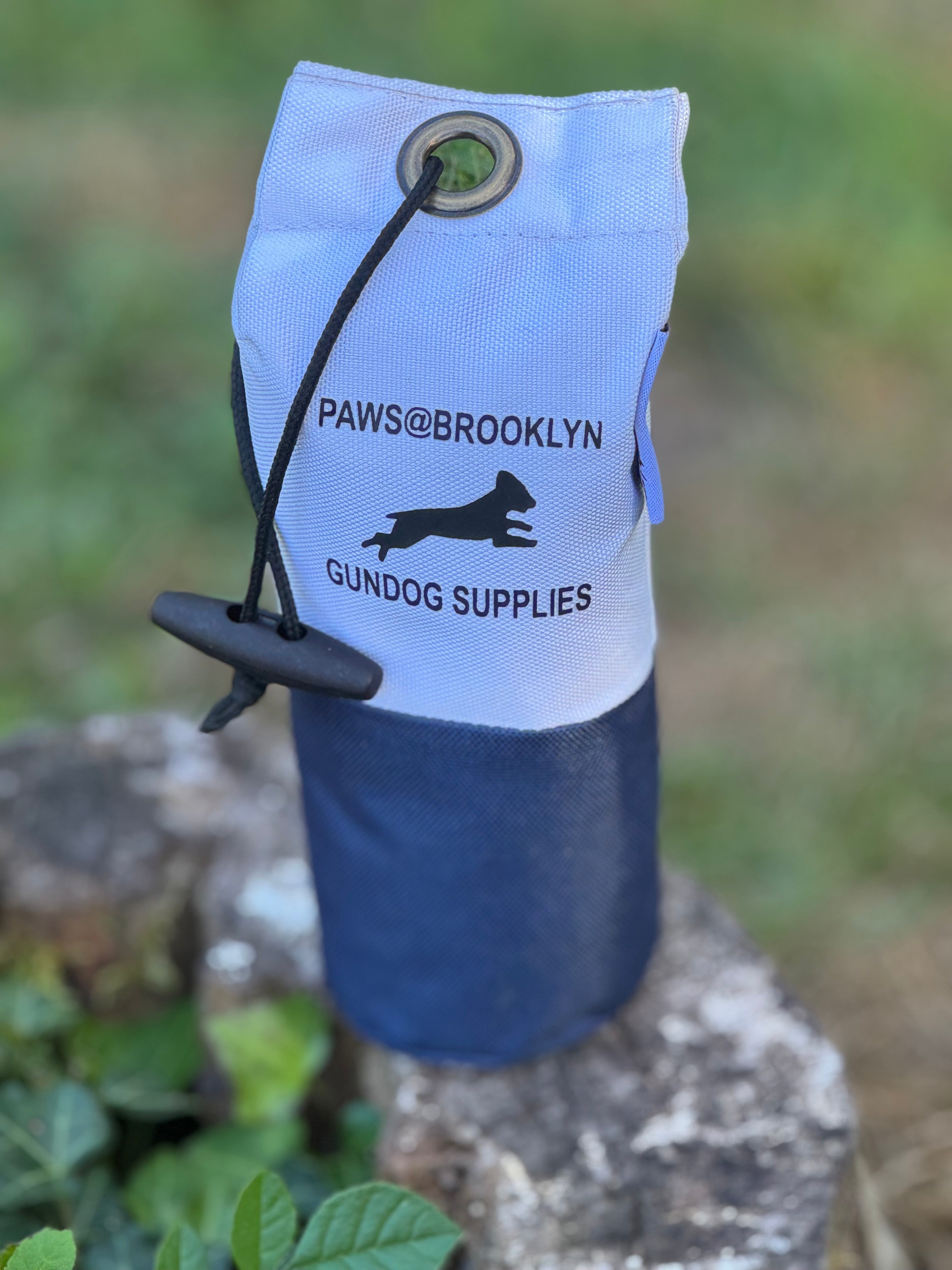 Paws@brooklyn Rainbow and Canvas Dummies