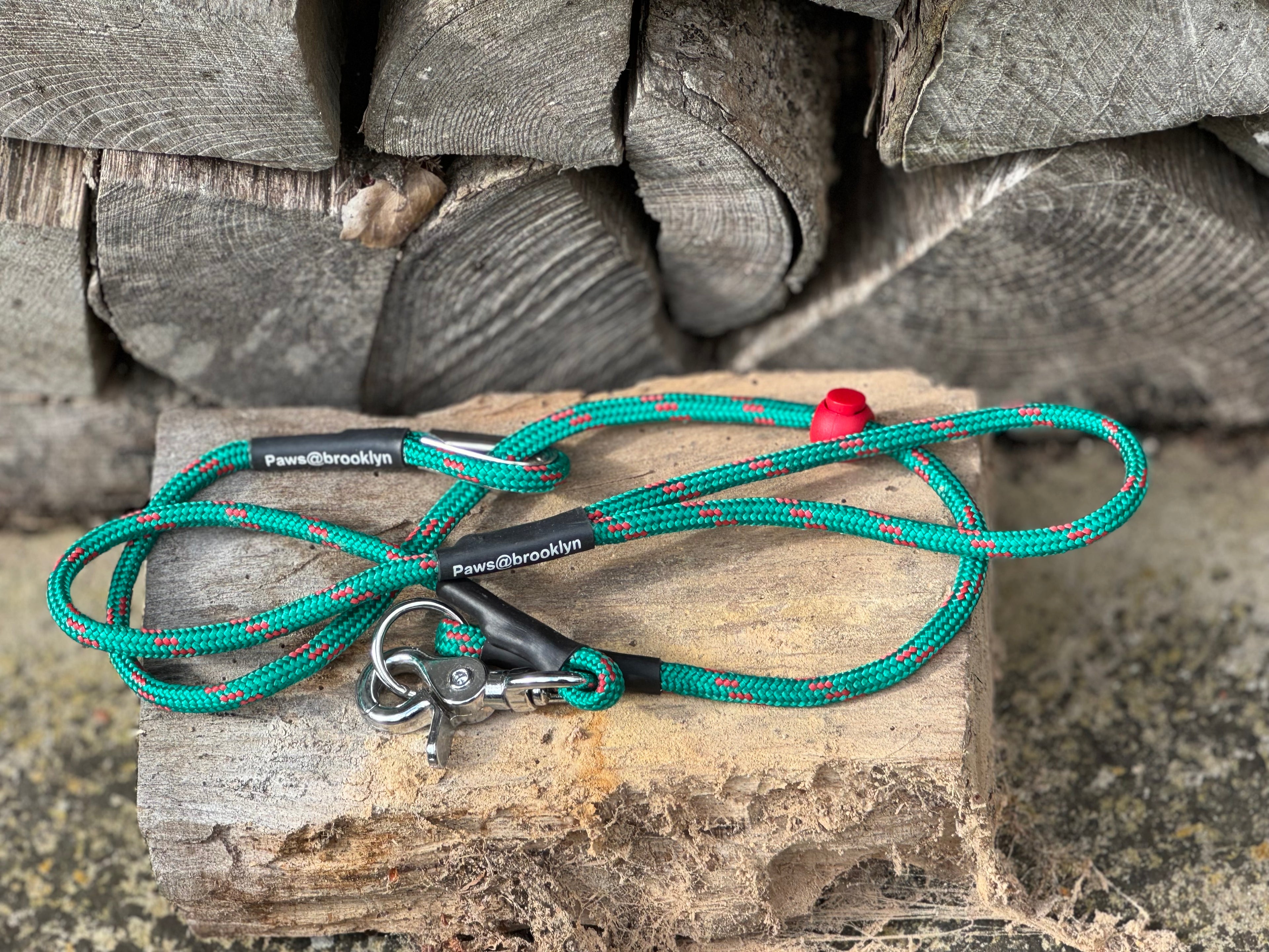 Paws@brooklyn heeling lead with slip collar