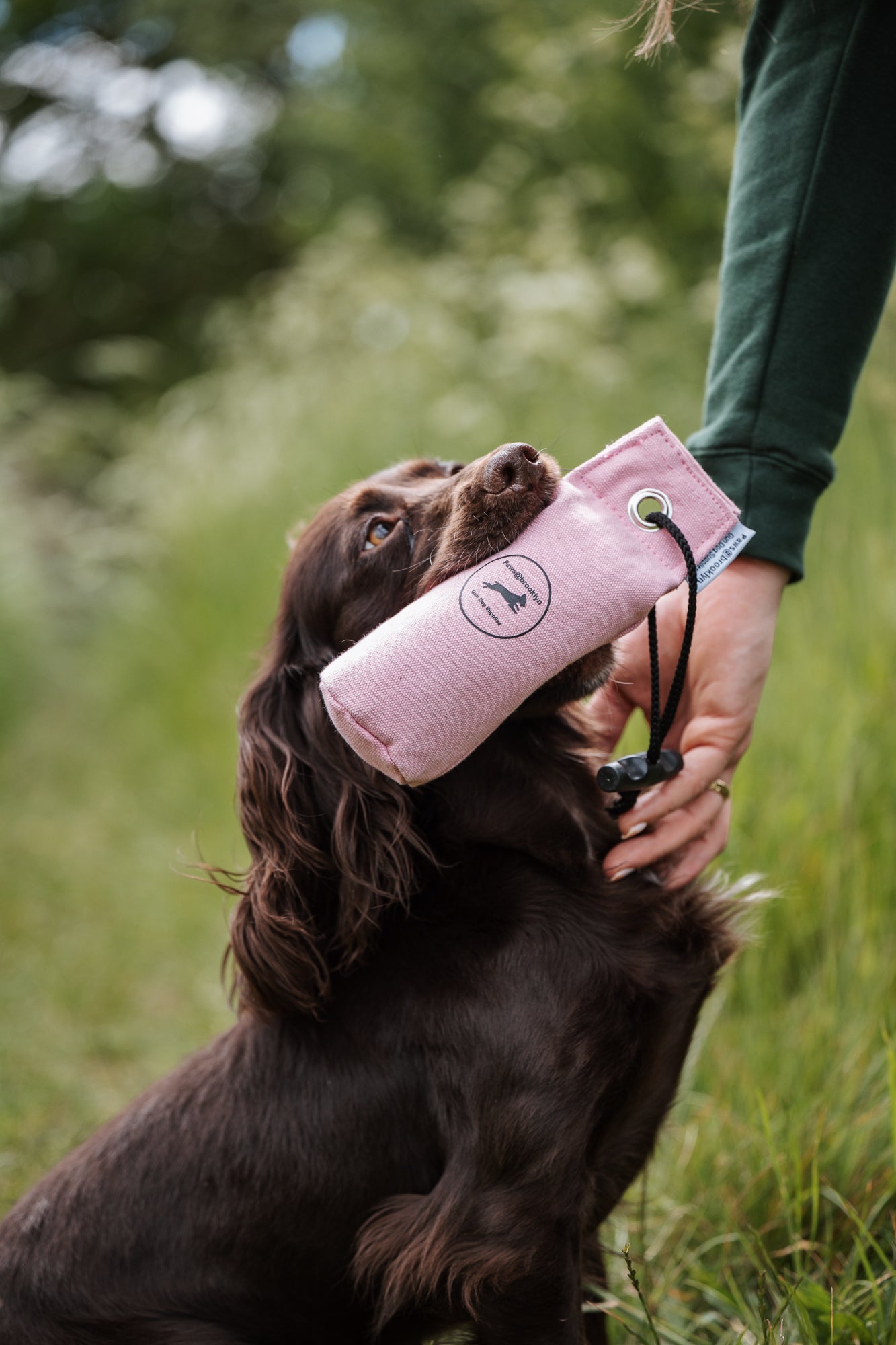 Paws@brooklyn Canvas Dummies