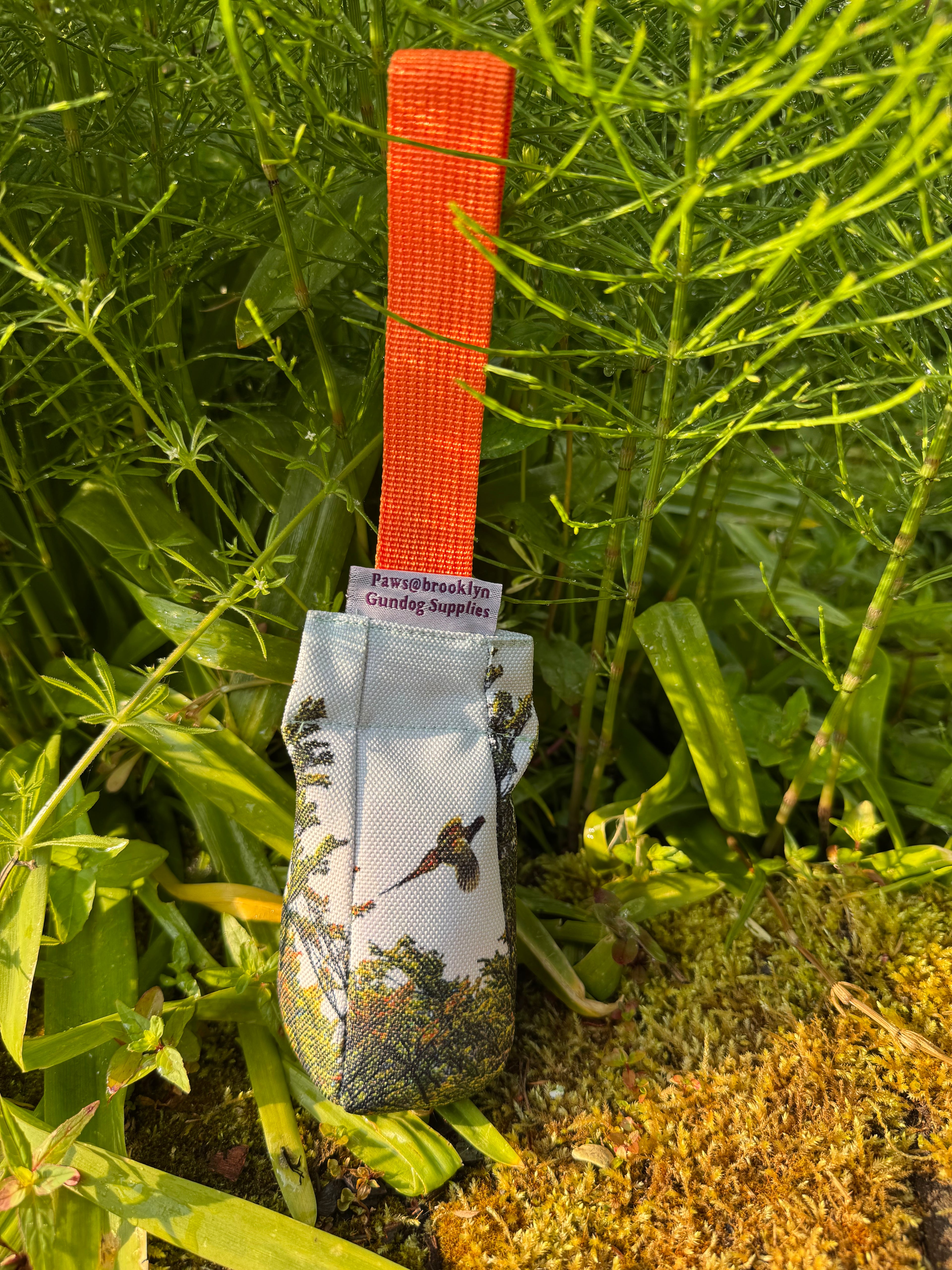 Paws@brooklyn NEW!!  The Game Pheasant Range