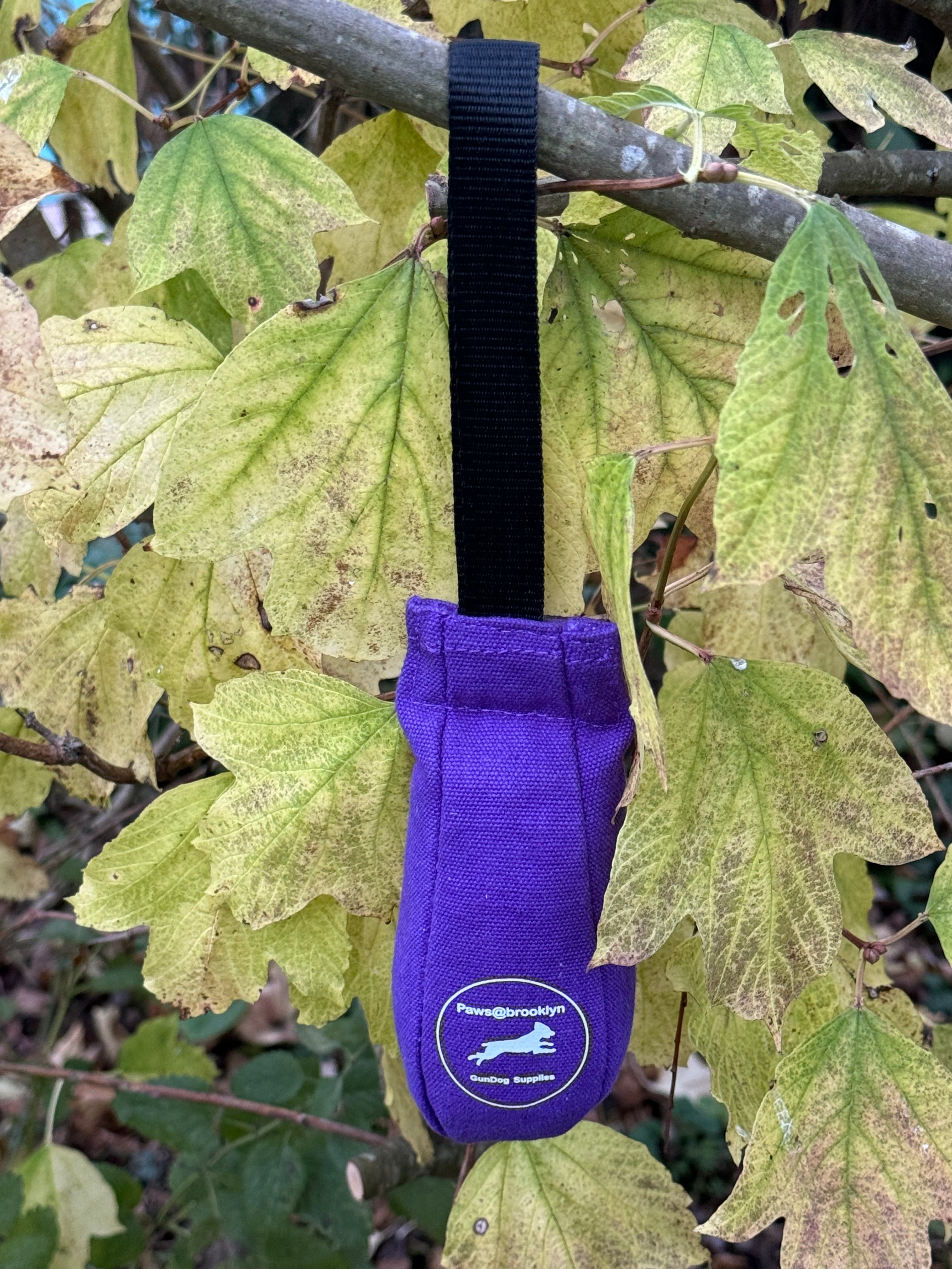 Paws@brooklyn Speedy Dummy Balls