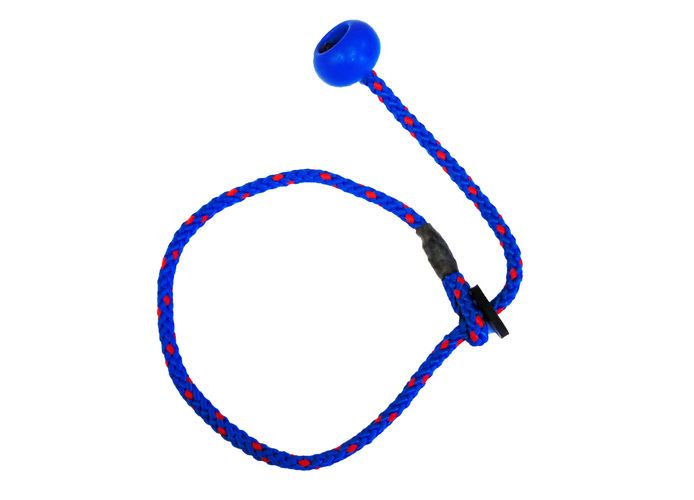 Sporting Saint Training Heeling Lead