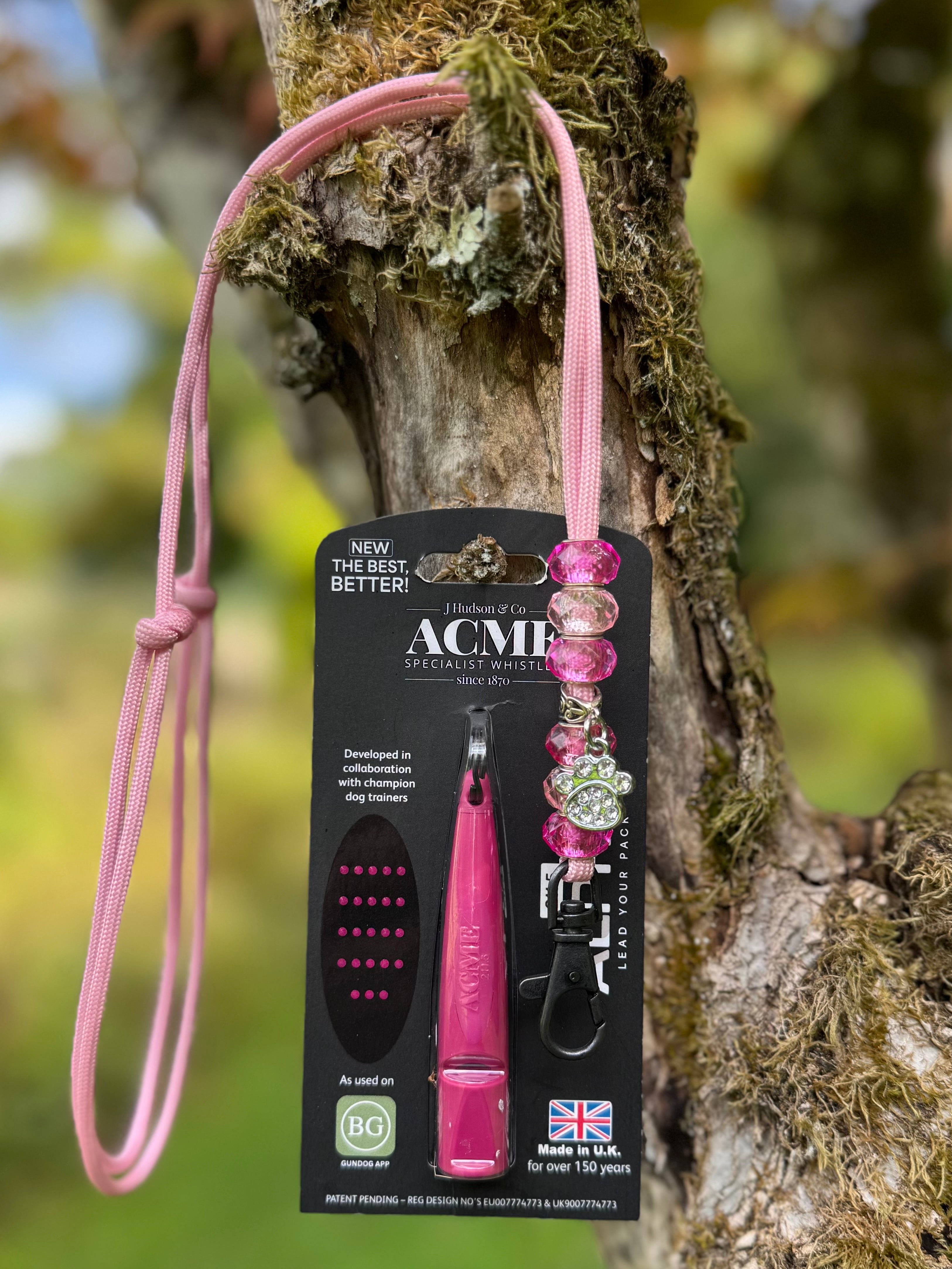 Beaded Lanyard with Alpha Whistle