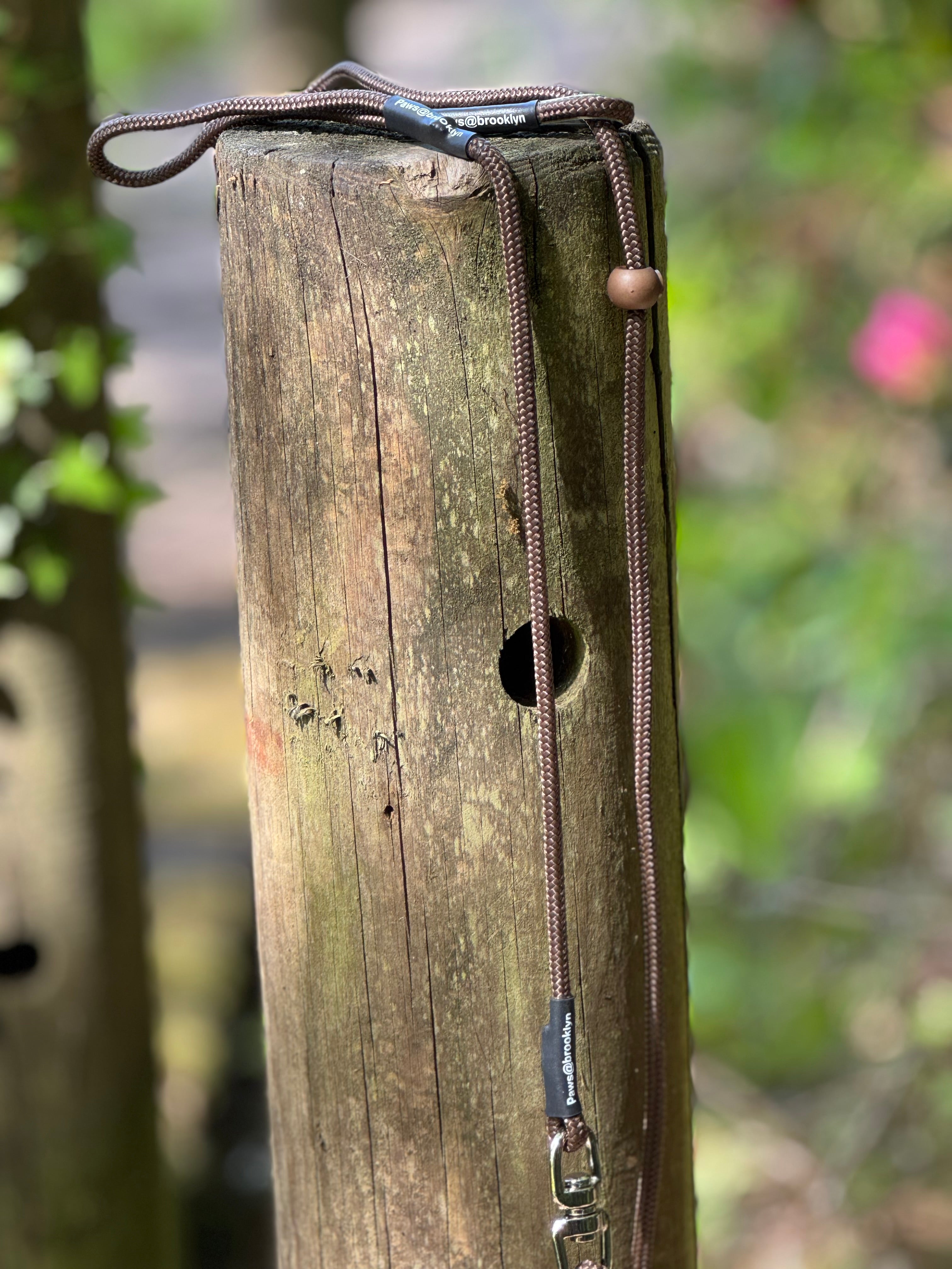 Paws@brooklyn 6mm Swivel Lead