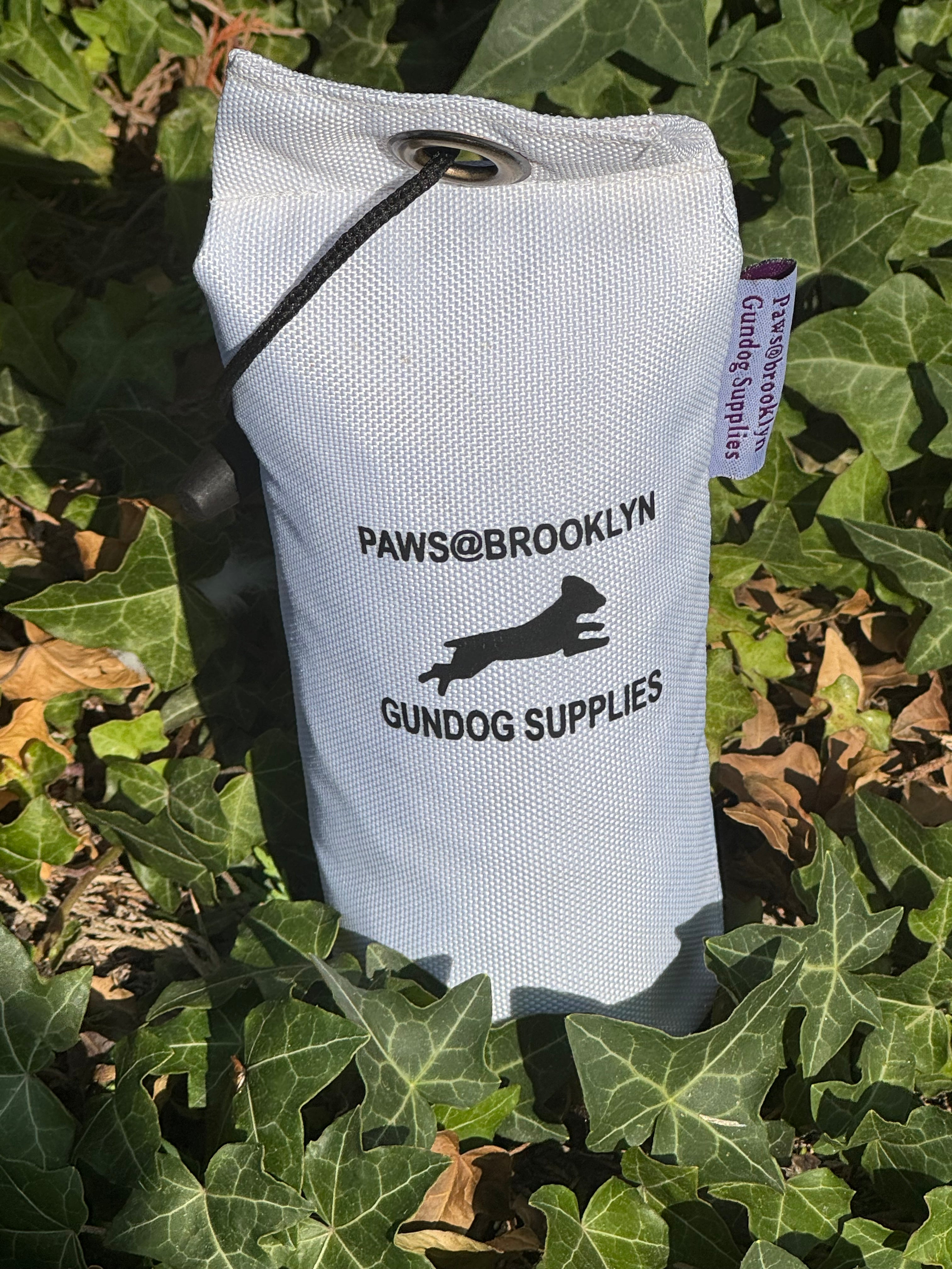 Paws@brooklyn Rainbow and Canvas Dummies