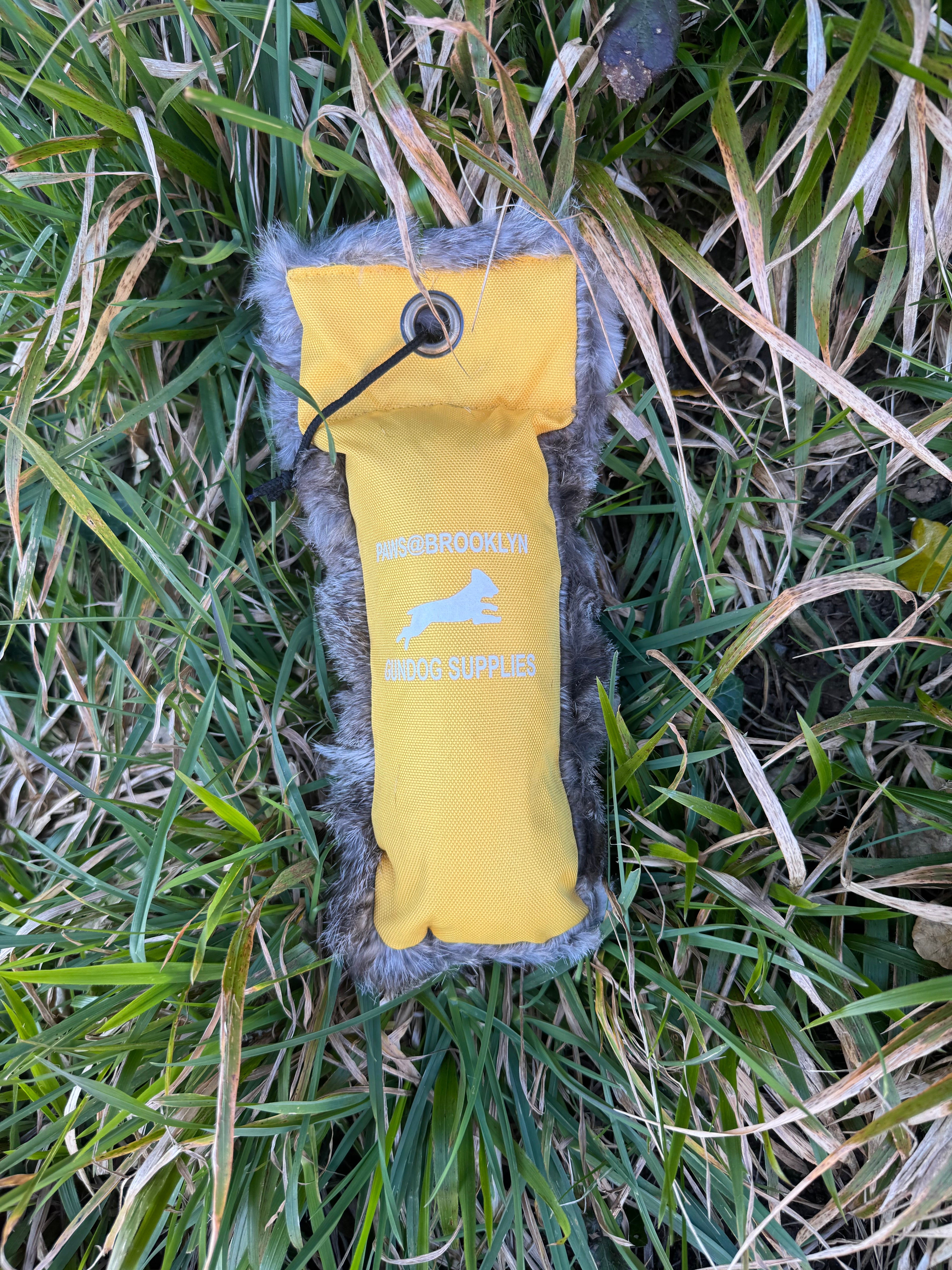 Paw@brooklyn 1/2 Fur/Canvas Dummies