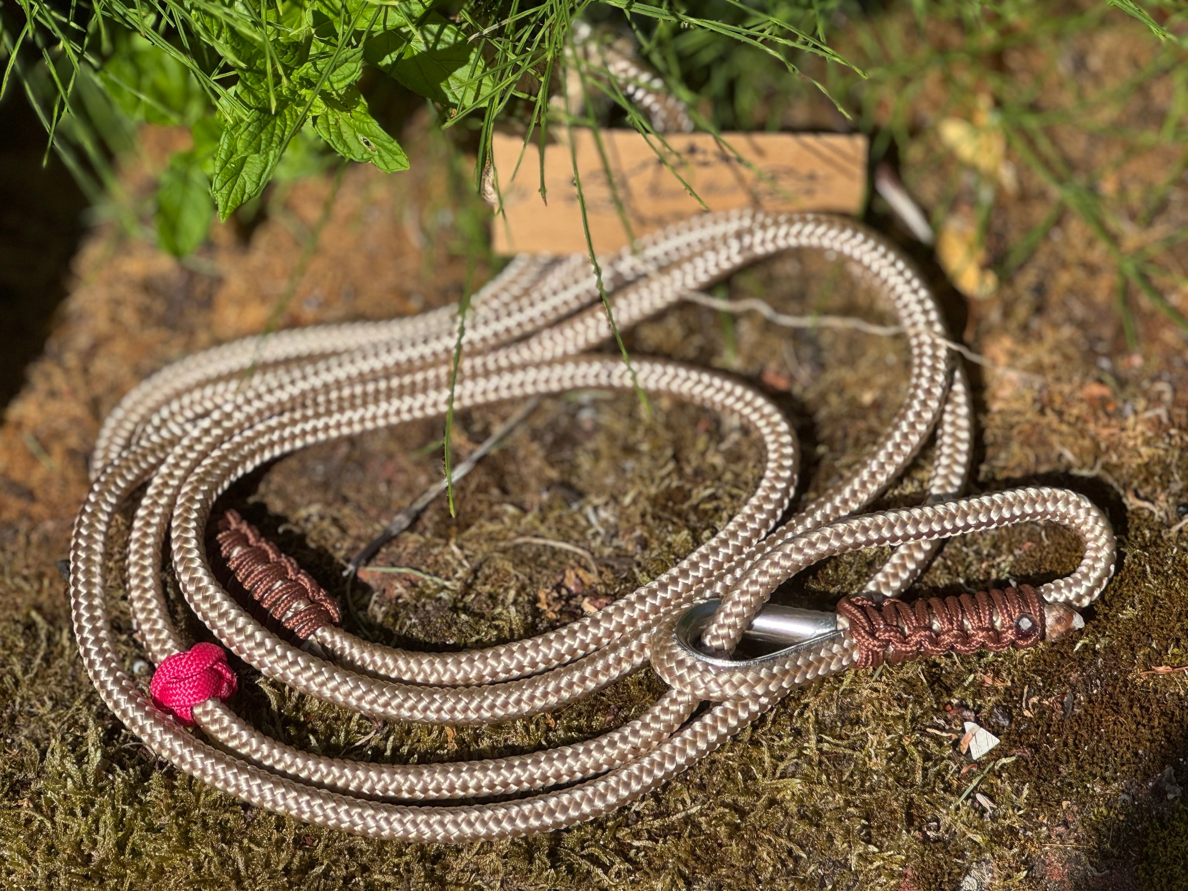 Paws@brooklyn 150cm Slip Leads