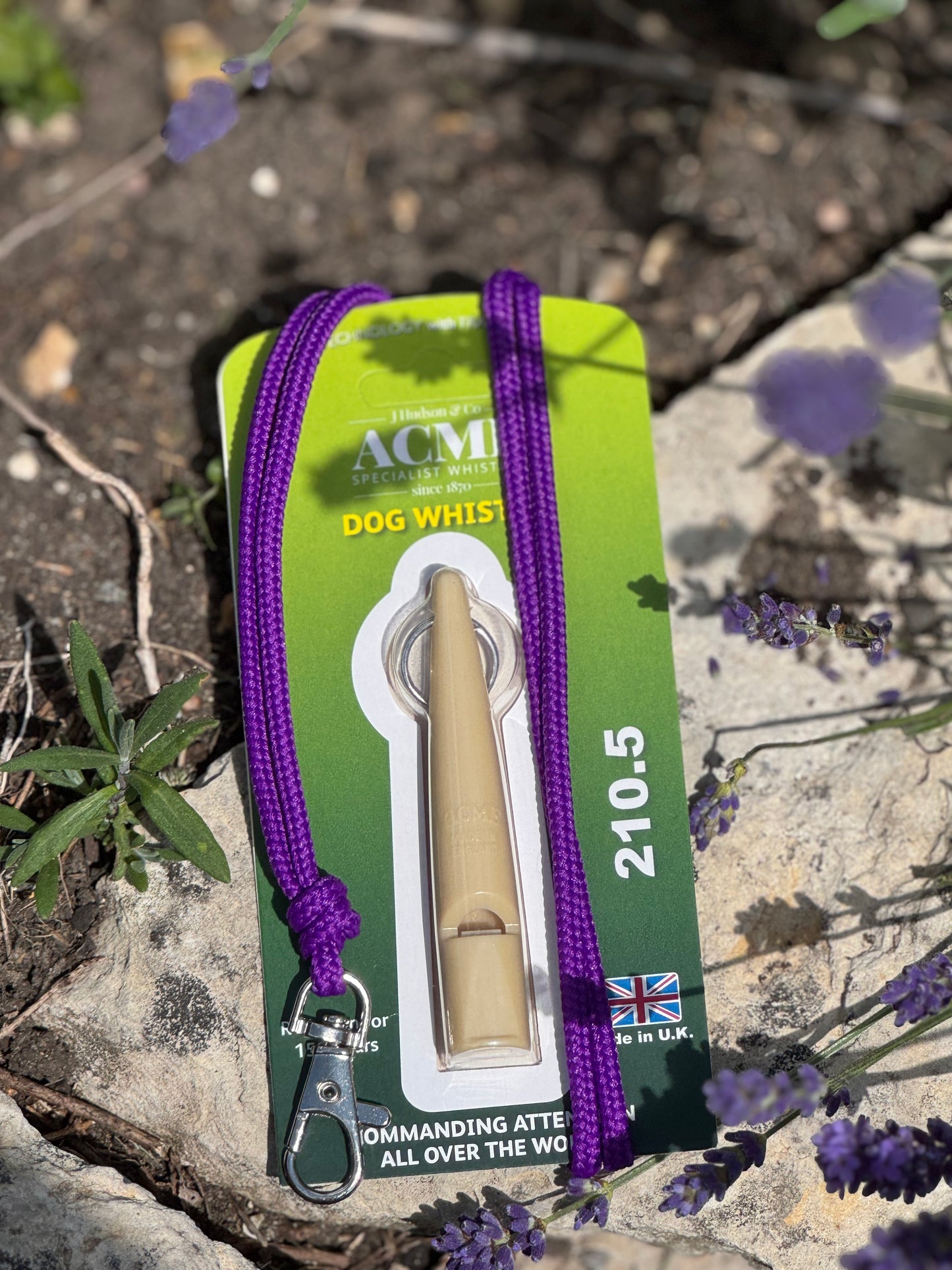 Paws@brooklyn Acme Whistle and Lanyard Set