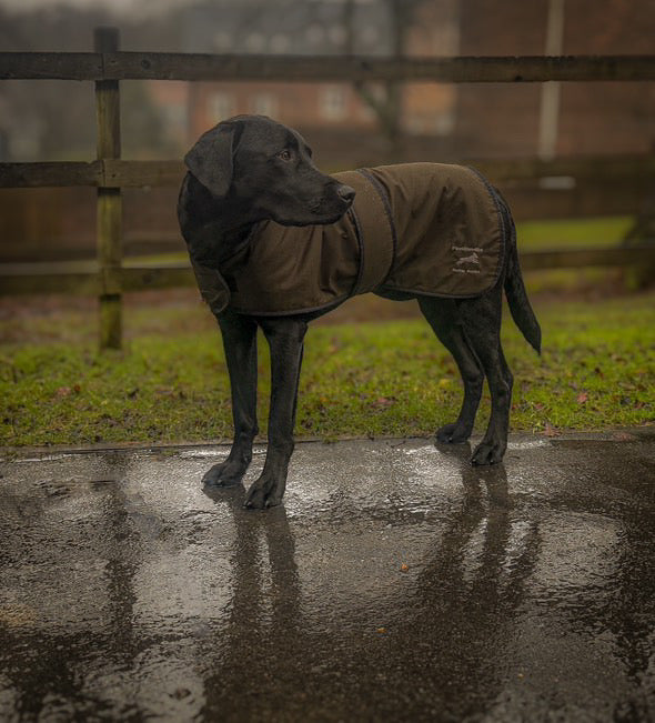Paws@brooklyn Dog Coats