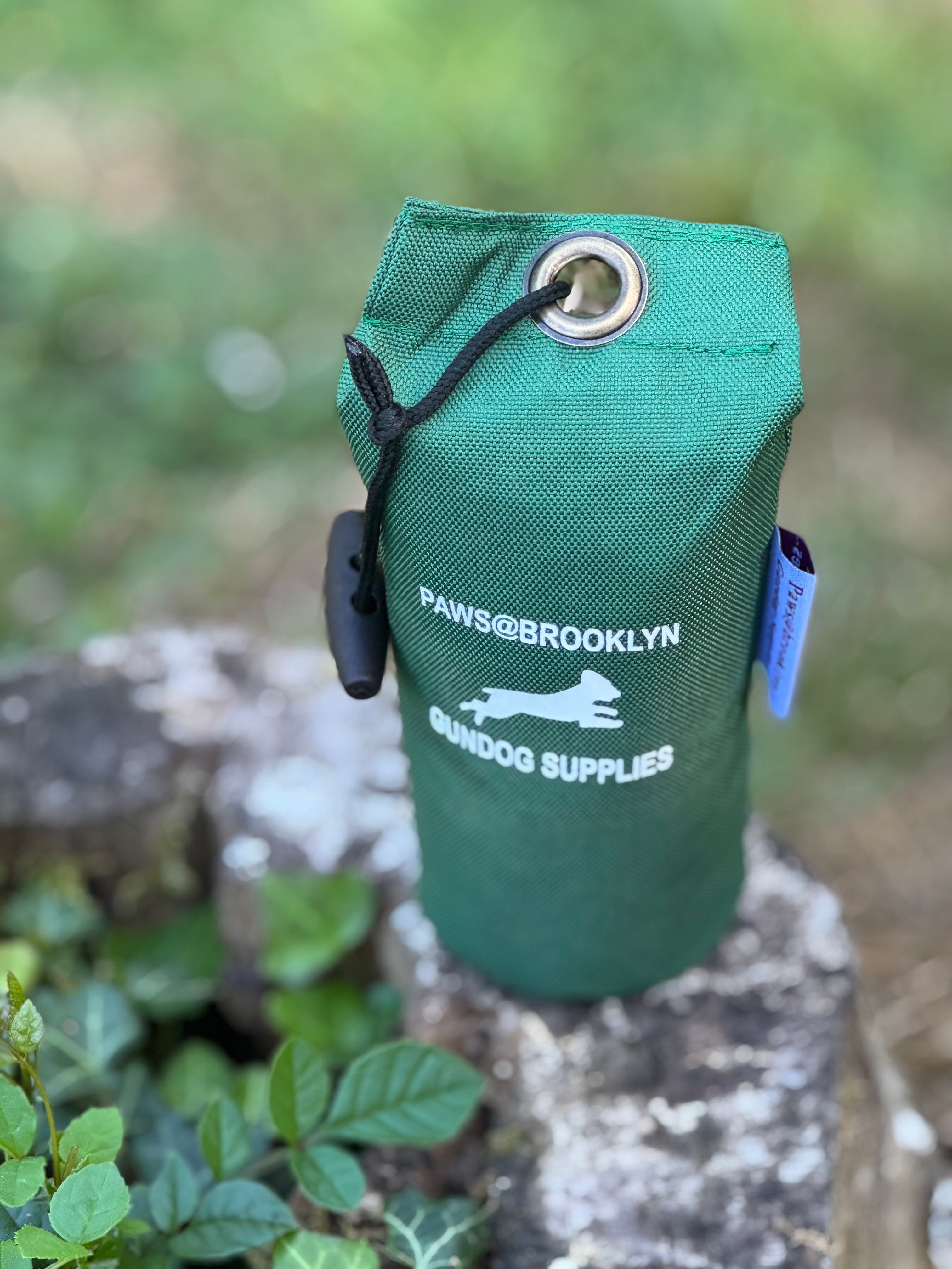 Paws@brooklyn Rainbow and Canvas Dummies