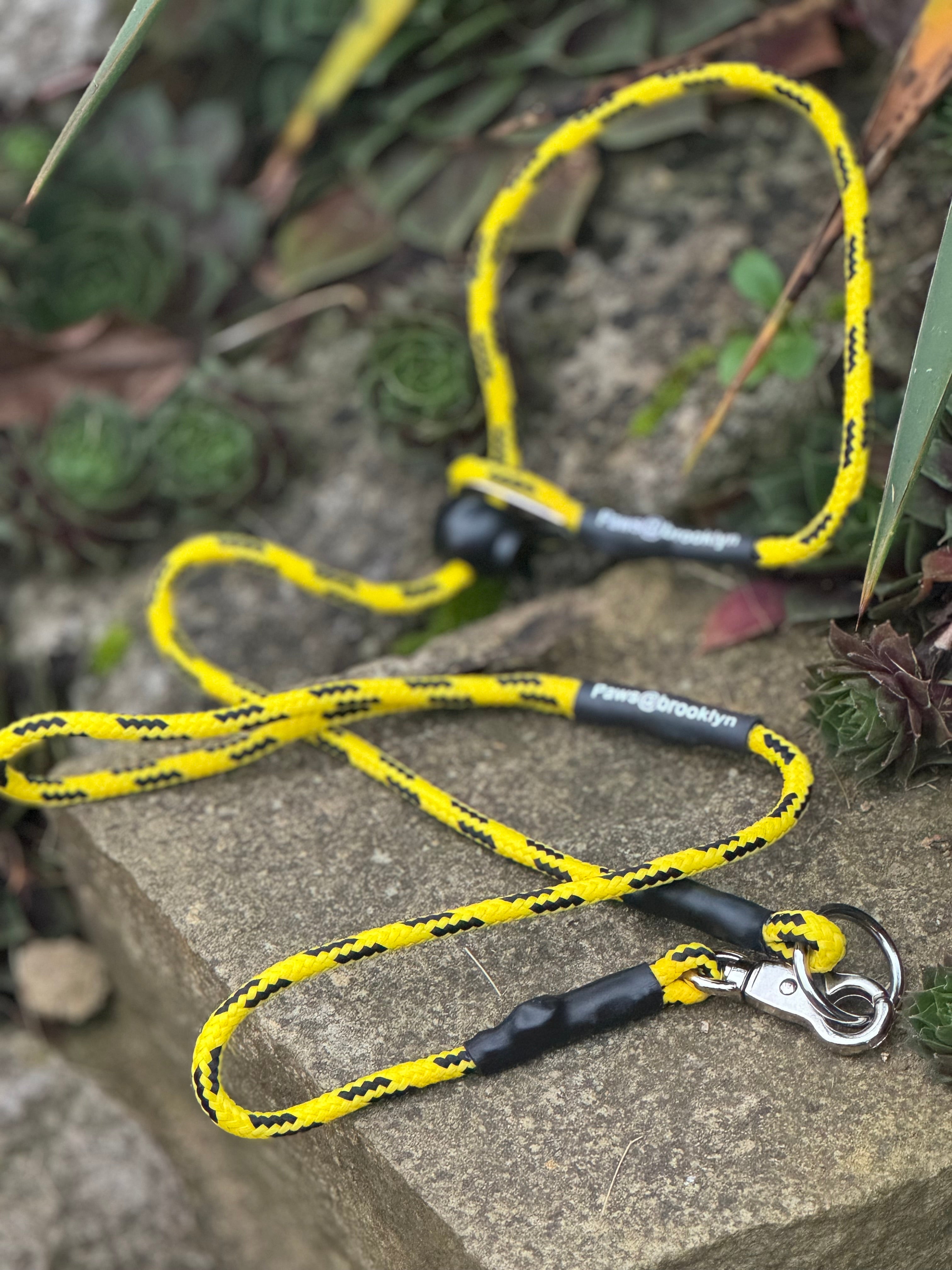 Paws@brooklyn heeling lead with slip collar