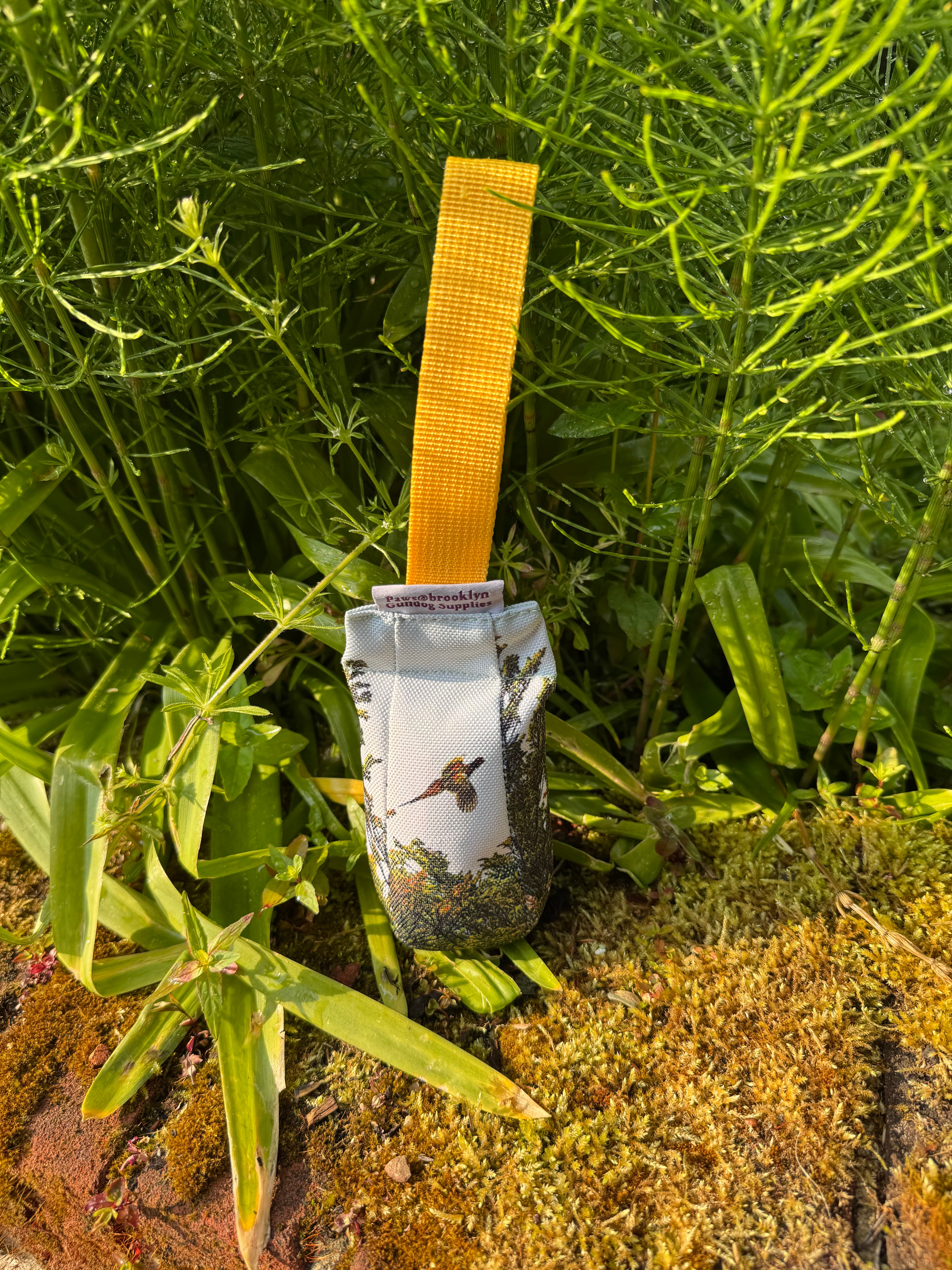 Paws@brooklyn NEW!!  The Game Pheasant Range