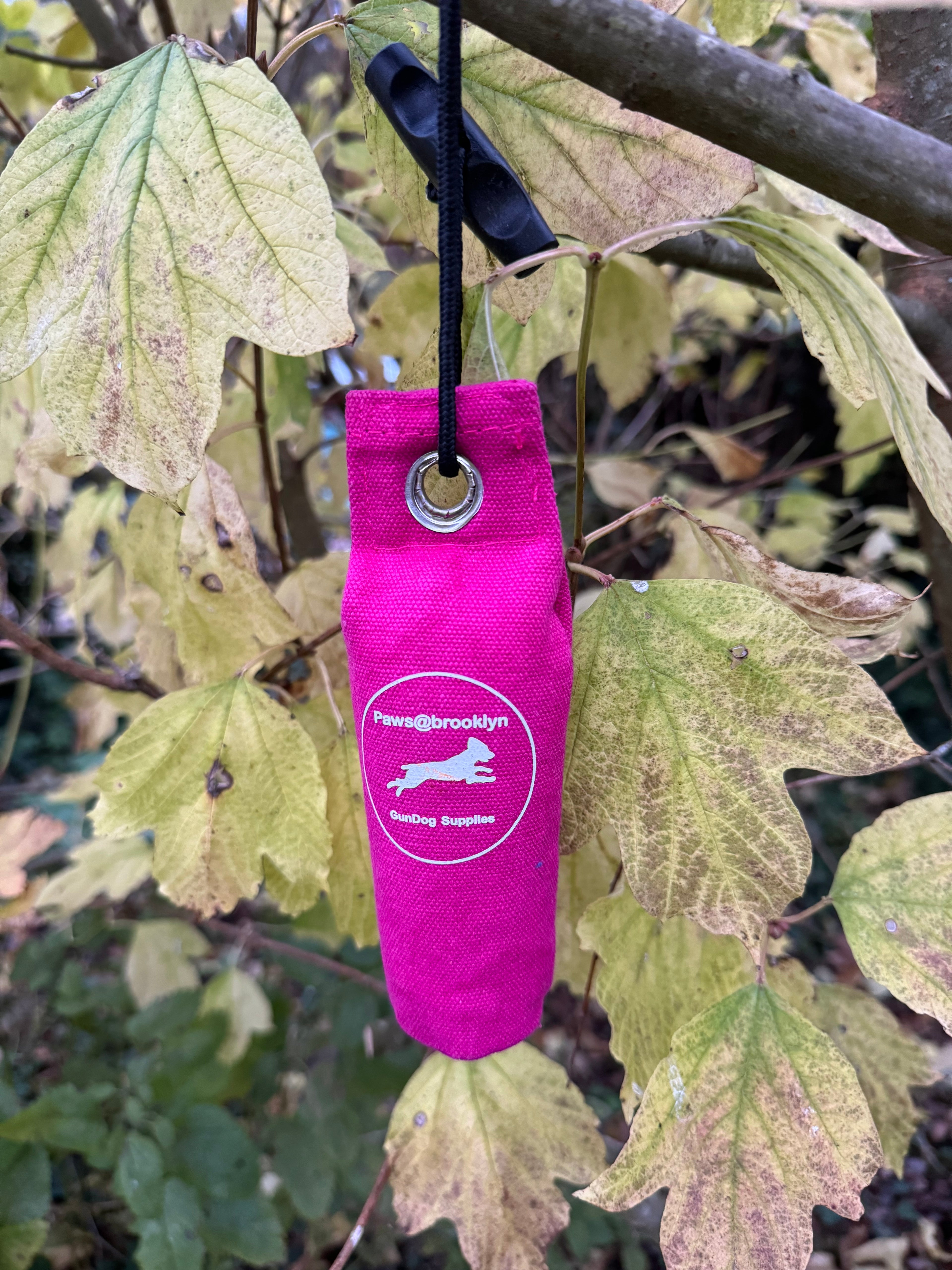 Paws@brooklyn Canvas Dummies