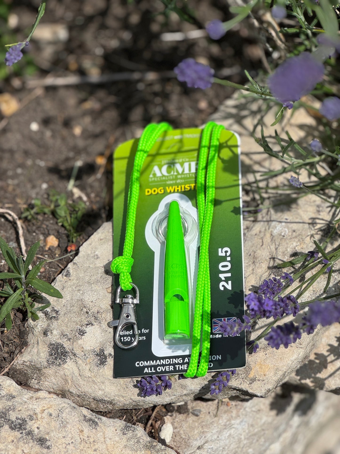 Paws@brooklyn Acme Whistle and Lanyard Set