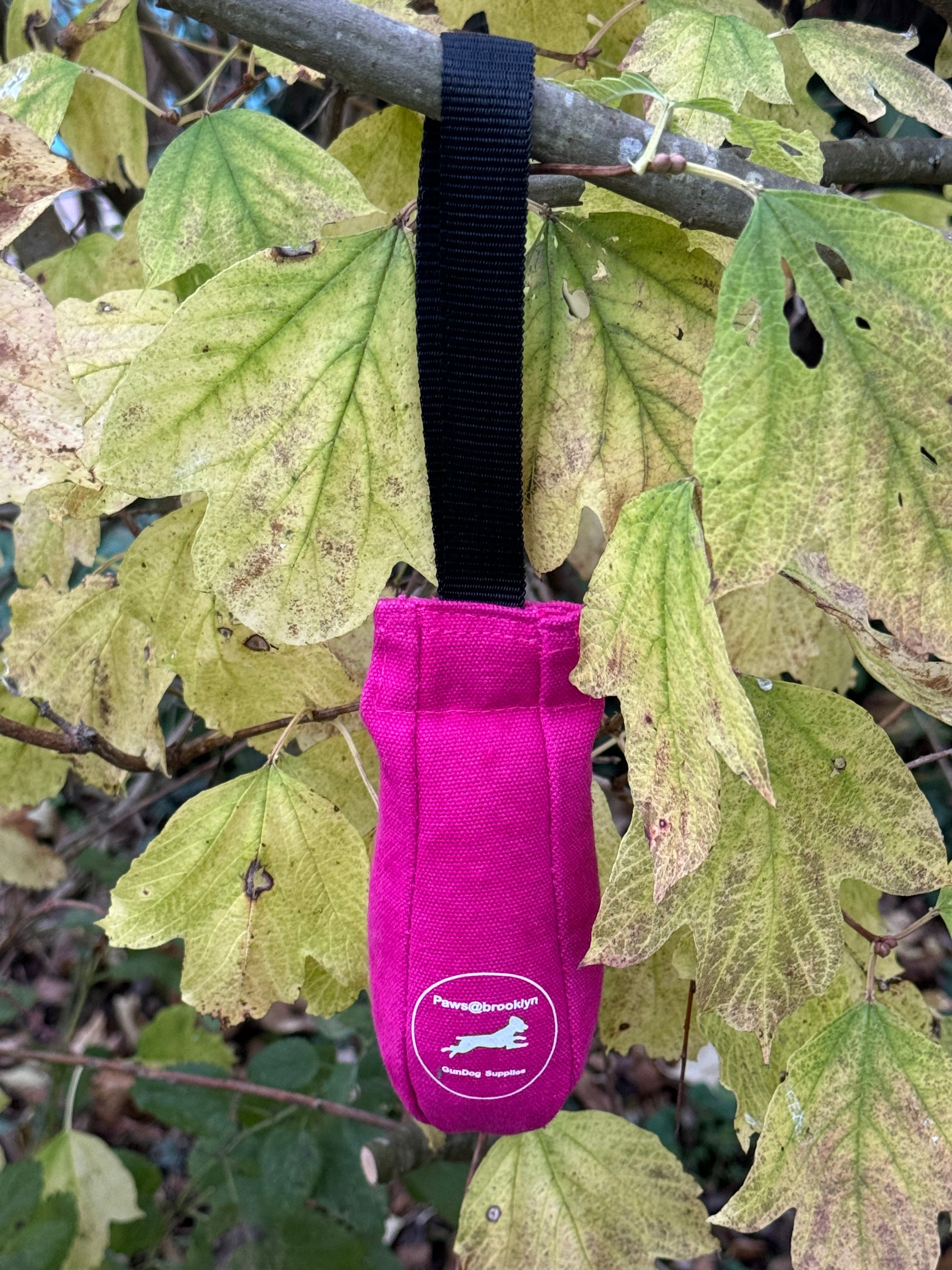 Paws@brooklyn Speedy Dummy Balls