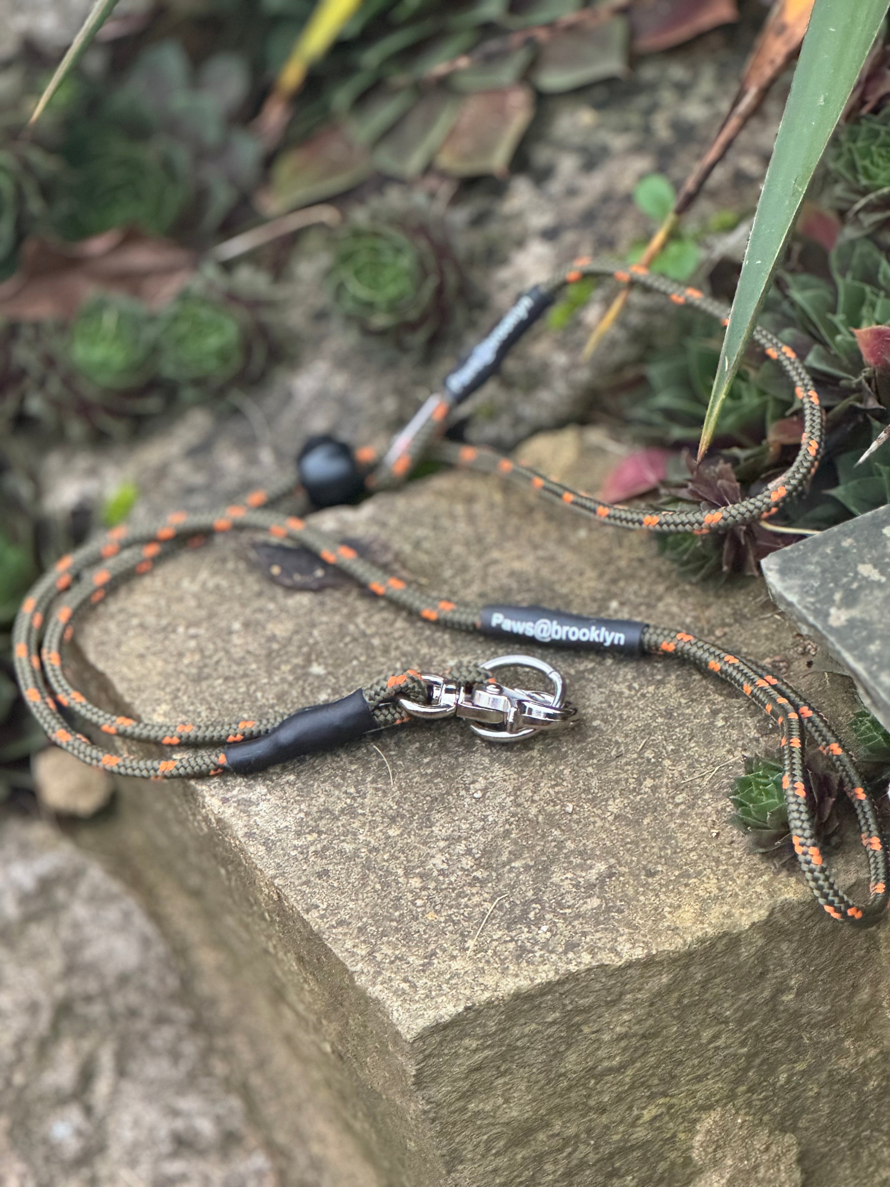 Paws@brooklyn heeling lead with slip collar